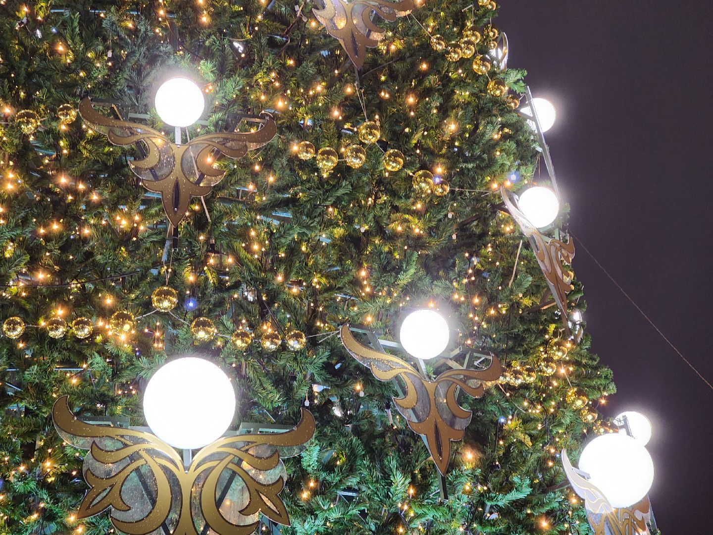 ногинск, голосование, жители, елка, новый год, всероссийский конкурс, общество, вертикалки,