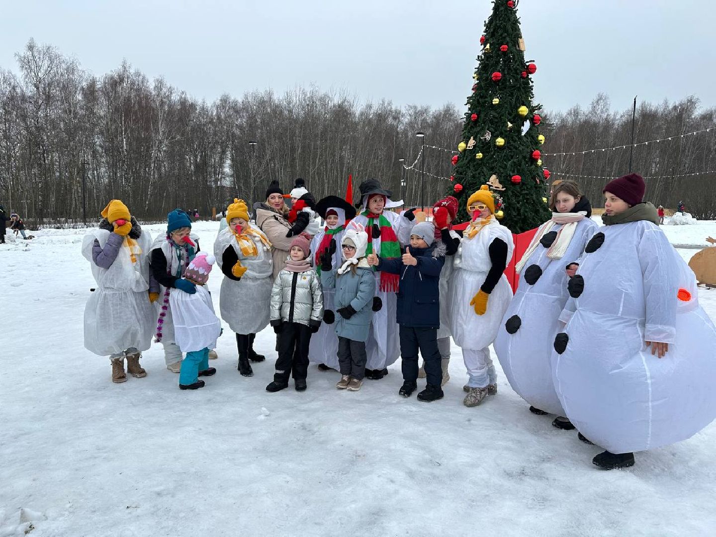 новый год, праздник, зима в подмосковье,