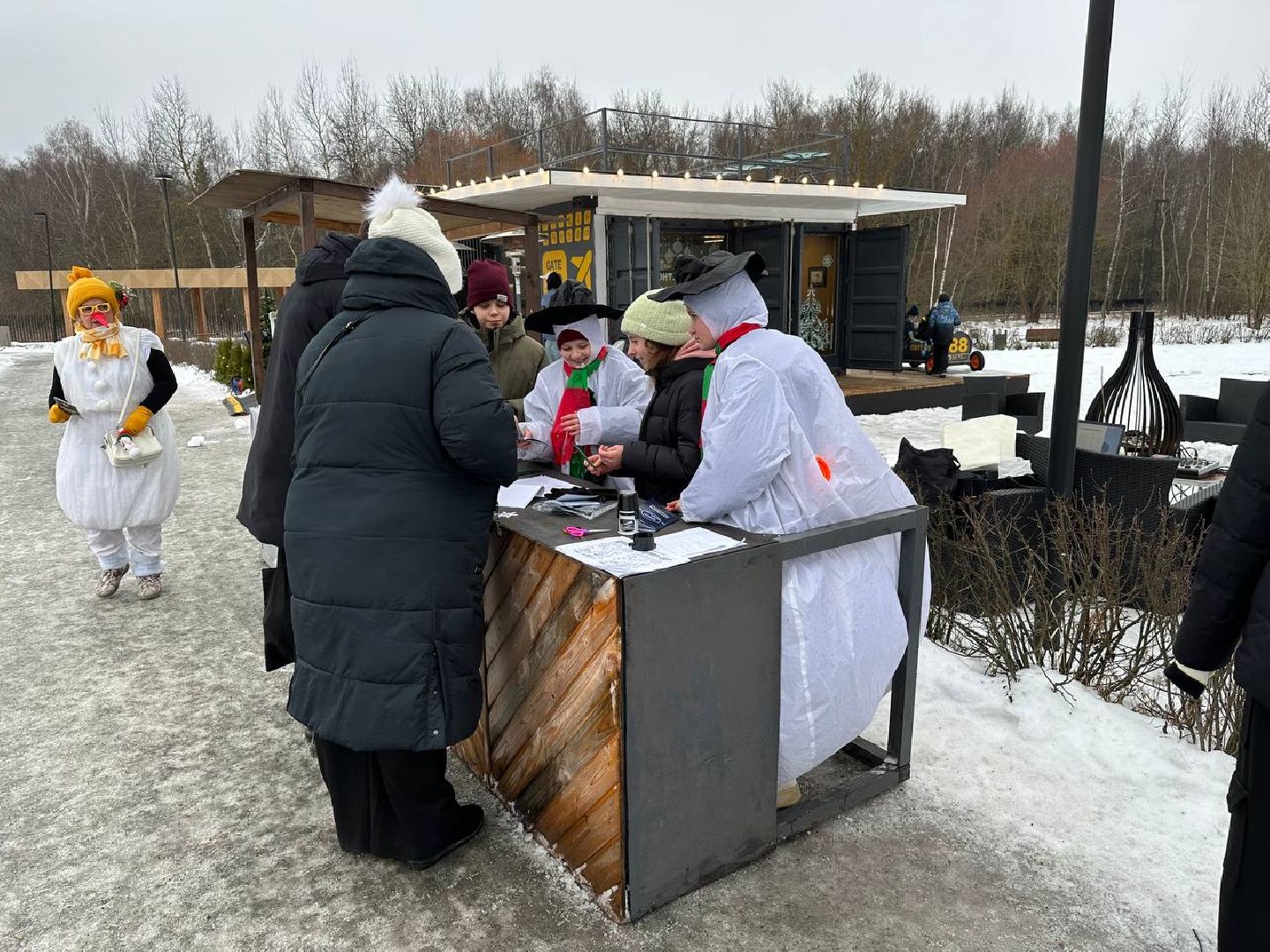 новый год, праздник, зима в подмосковье,