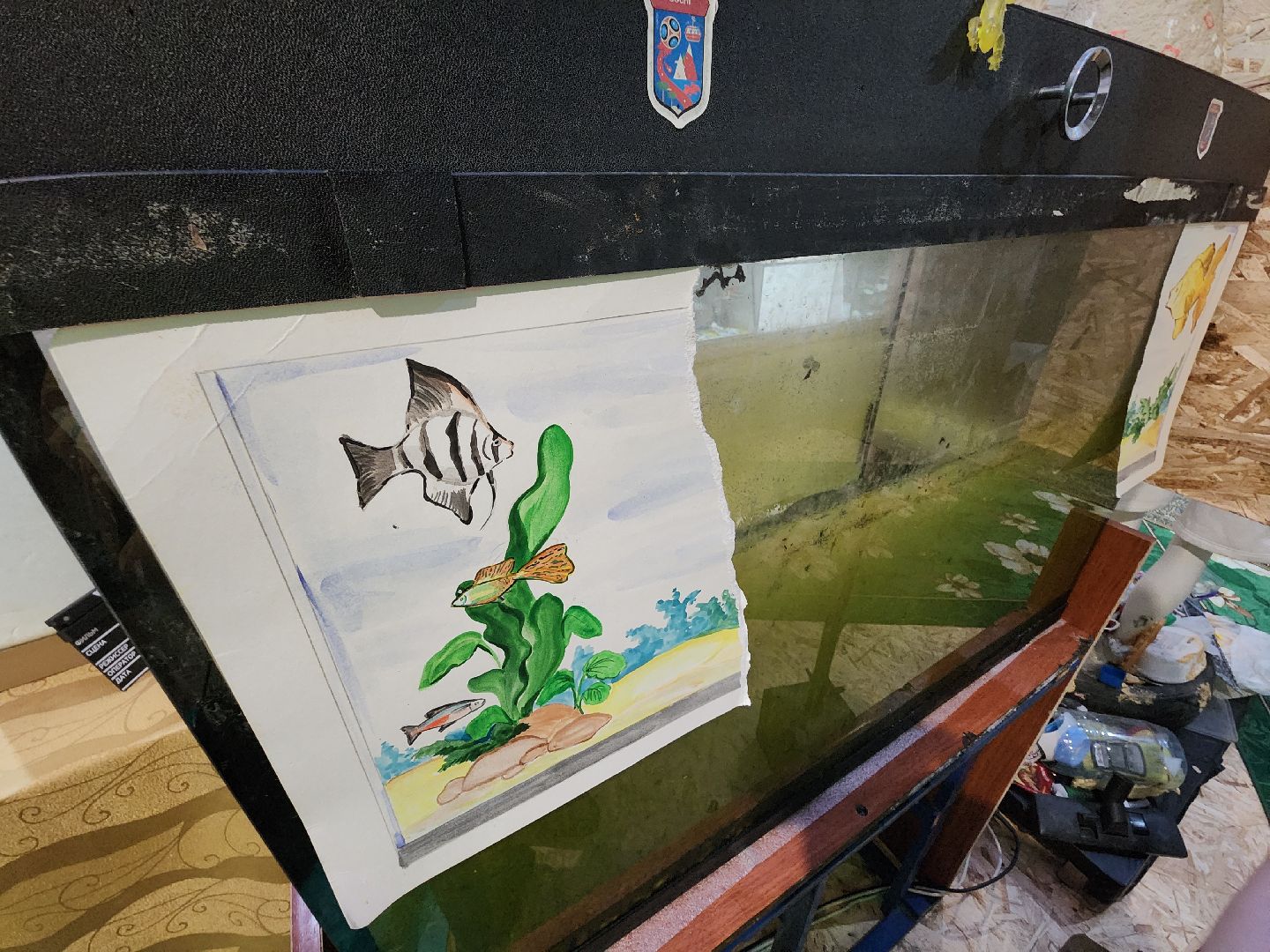 вертикалки, Егорьевск, Подмосковье, Московская область, Волонтеры,