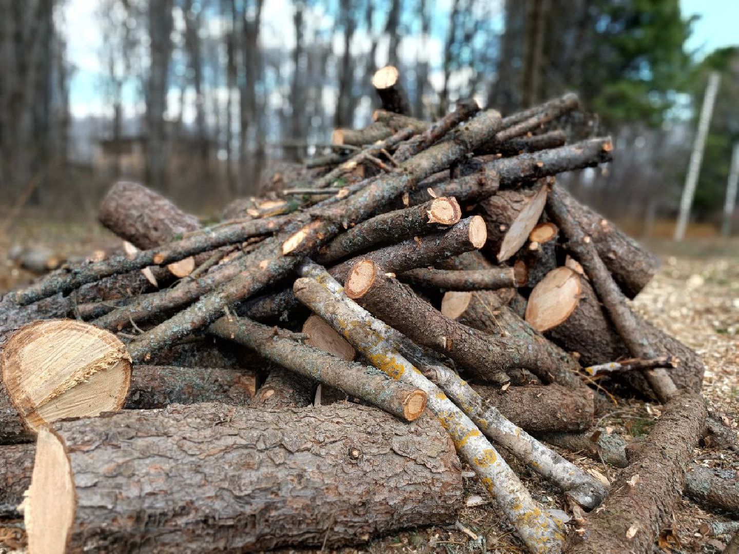 Можайск, Можайский городской округ, Подмосковье, детские площадки, программа губернатора, дети, Добродел
