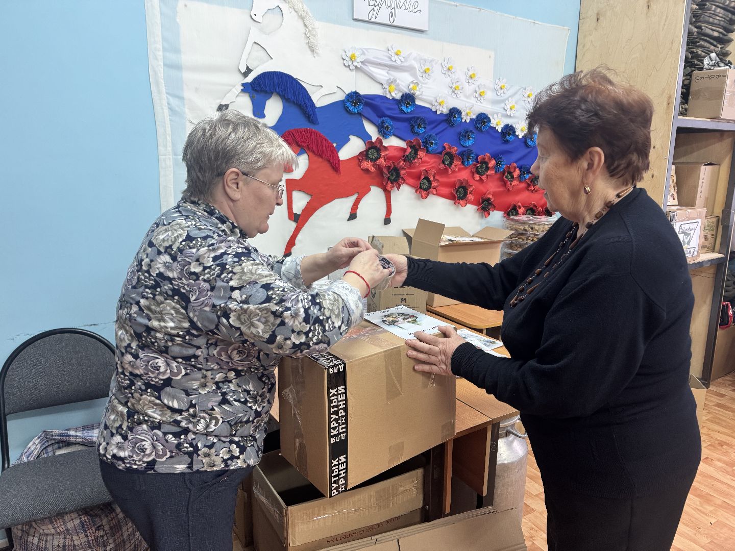 шаховская, сво, гуманирная помощь, волонтеры, вертикалки,