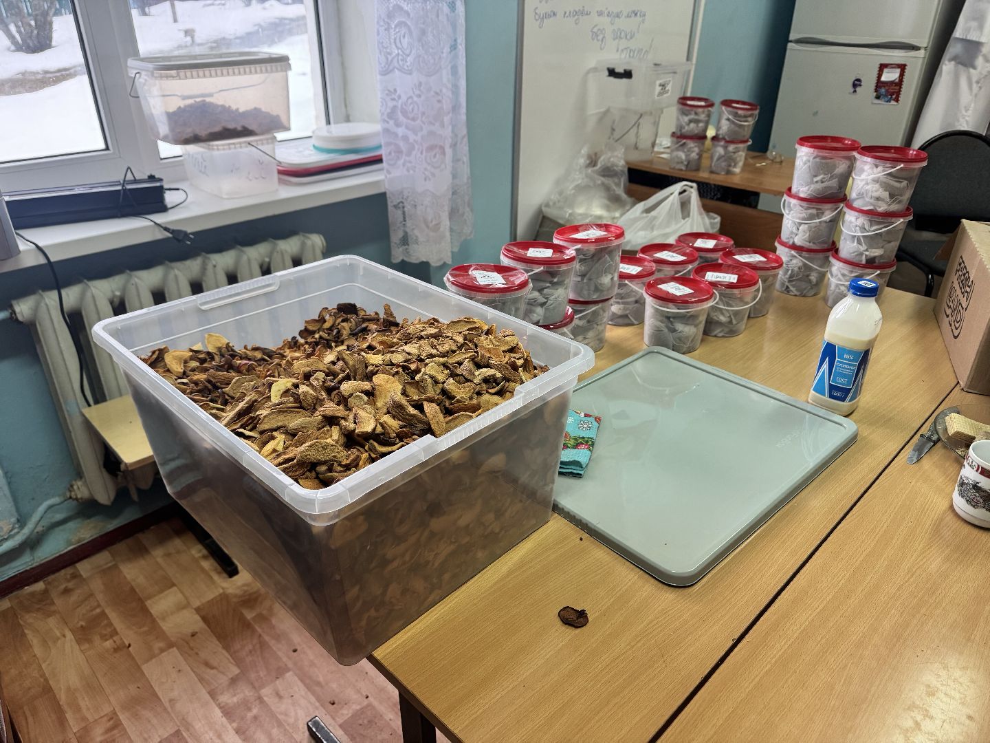 шаховская, сво, гуманирная помощь, волонтеры, вертикалки,