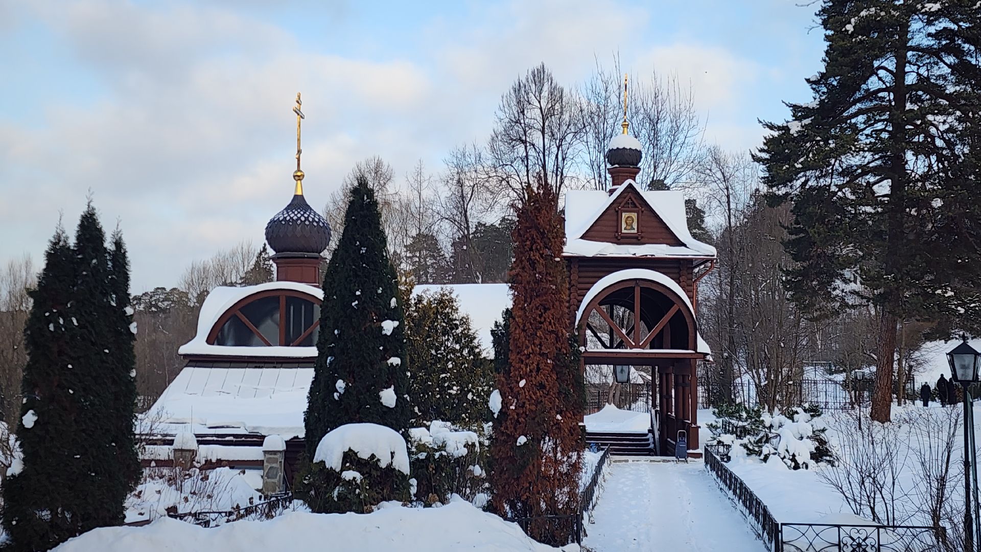 Звенигород, Здравоохранение, Крещенские купания, вертикалки,