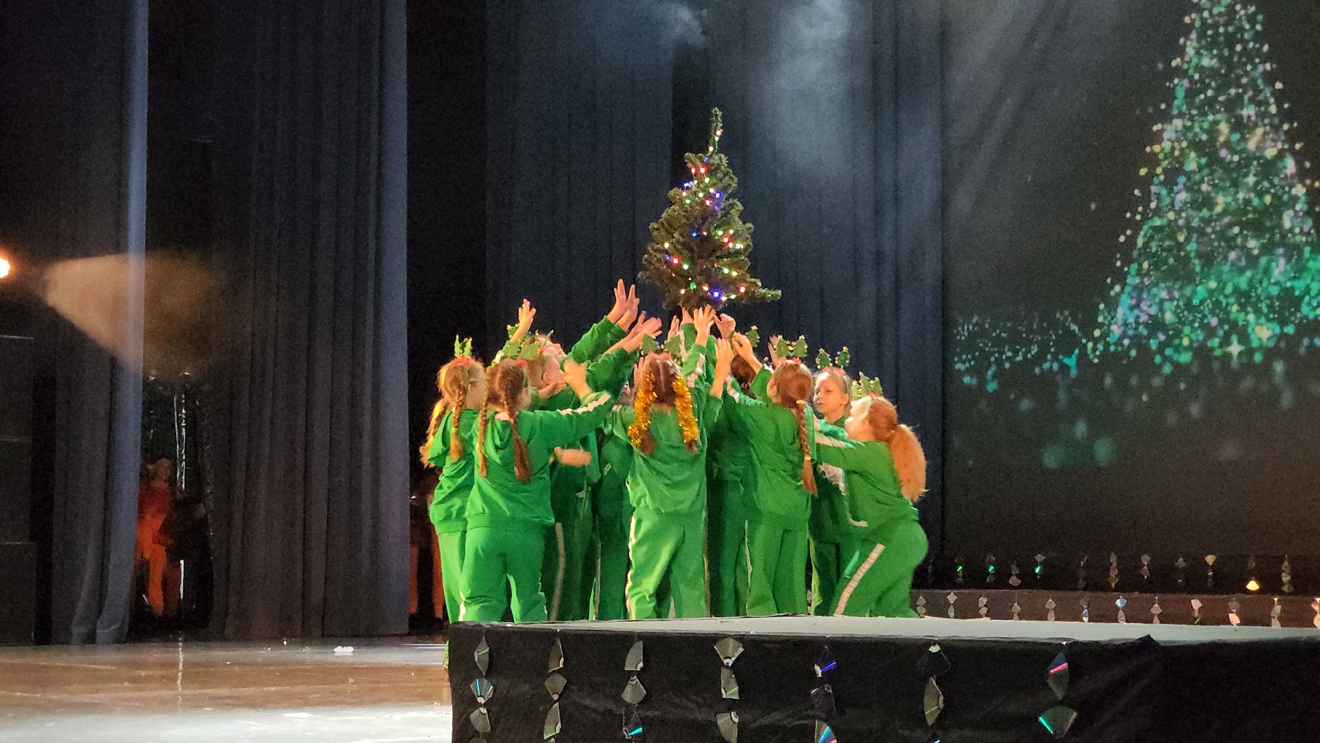 красногорск, старый новый год, про движение, концерт, вертикалки,