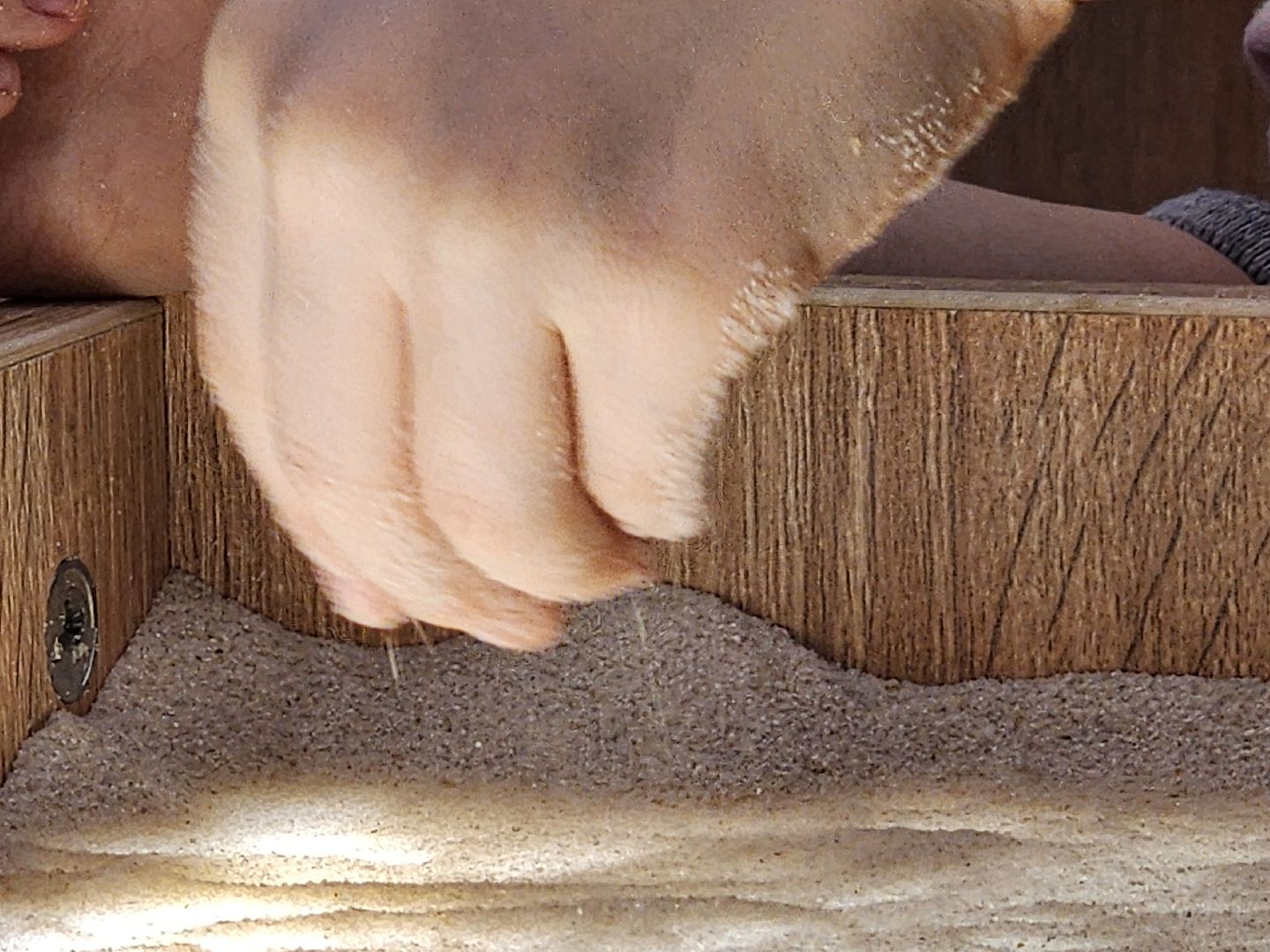 библиотека, песочная анимация, рузская библиотека, дети, руза, рузский городской округ, московская область, подмосковье,