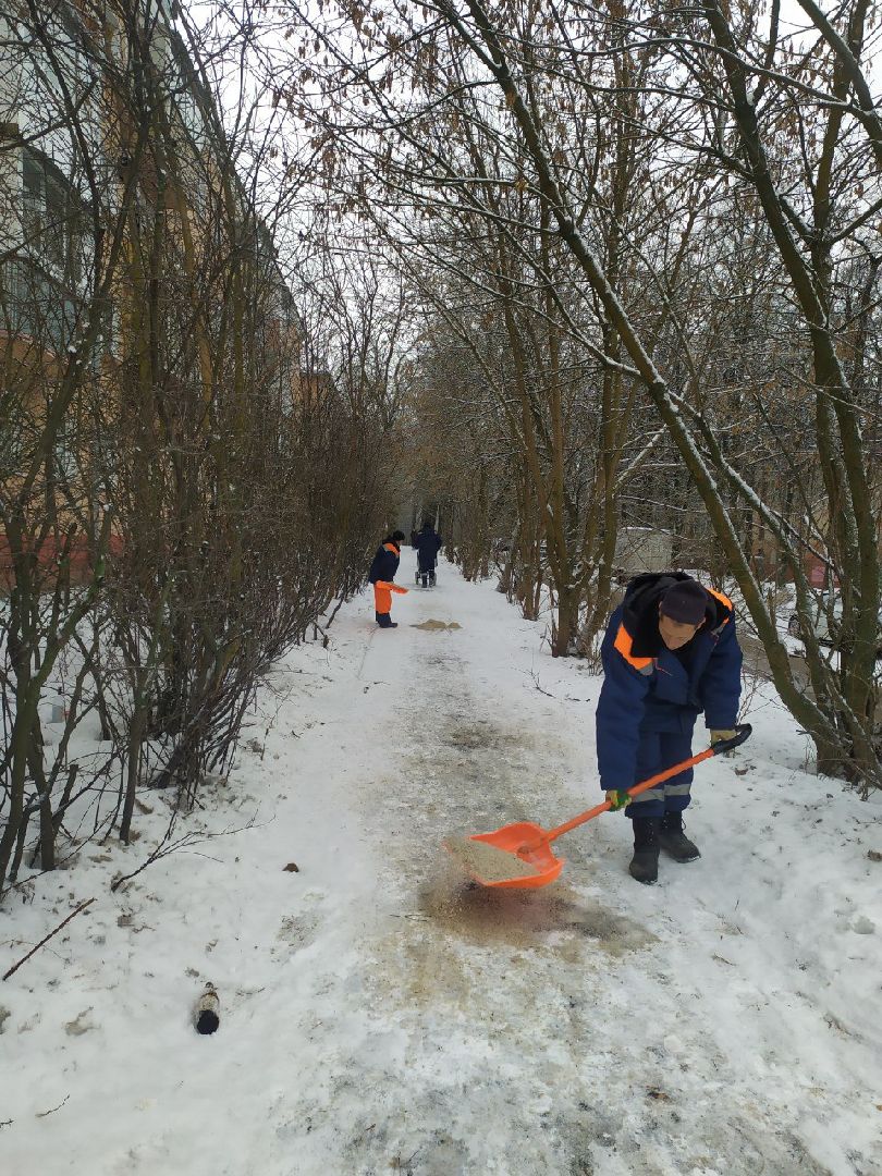 красноармейск, городской округ пушкинский, погода, снегопад, вертикалки,