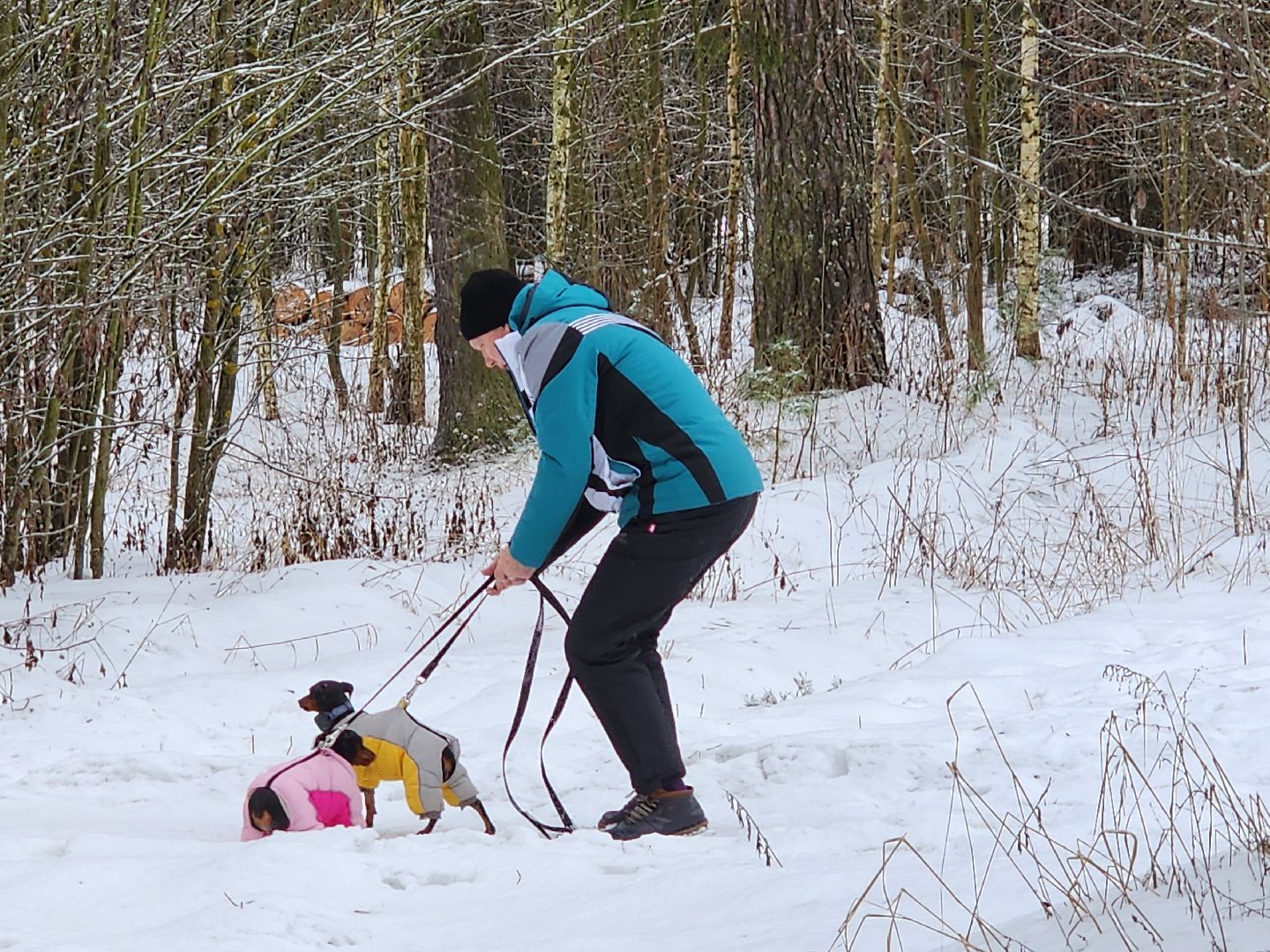 красноармейск, городской округ пушкинский, погода, снегопад, вертикалки,