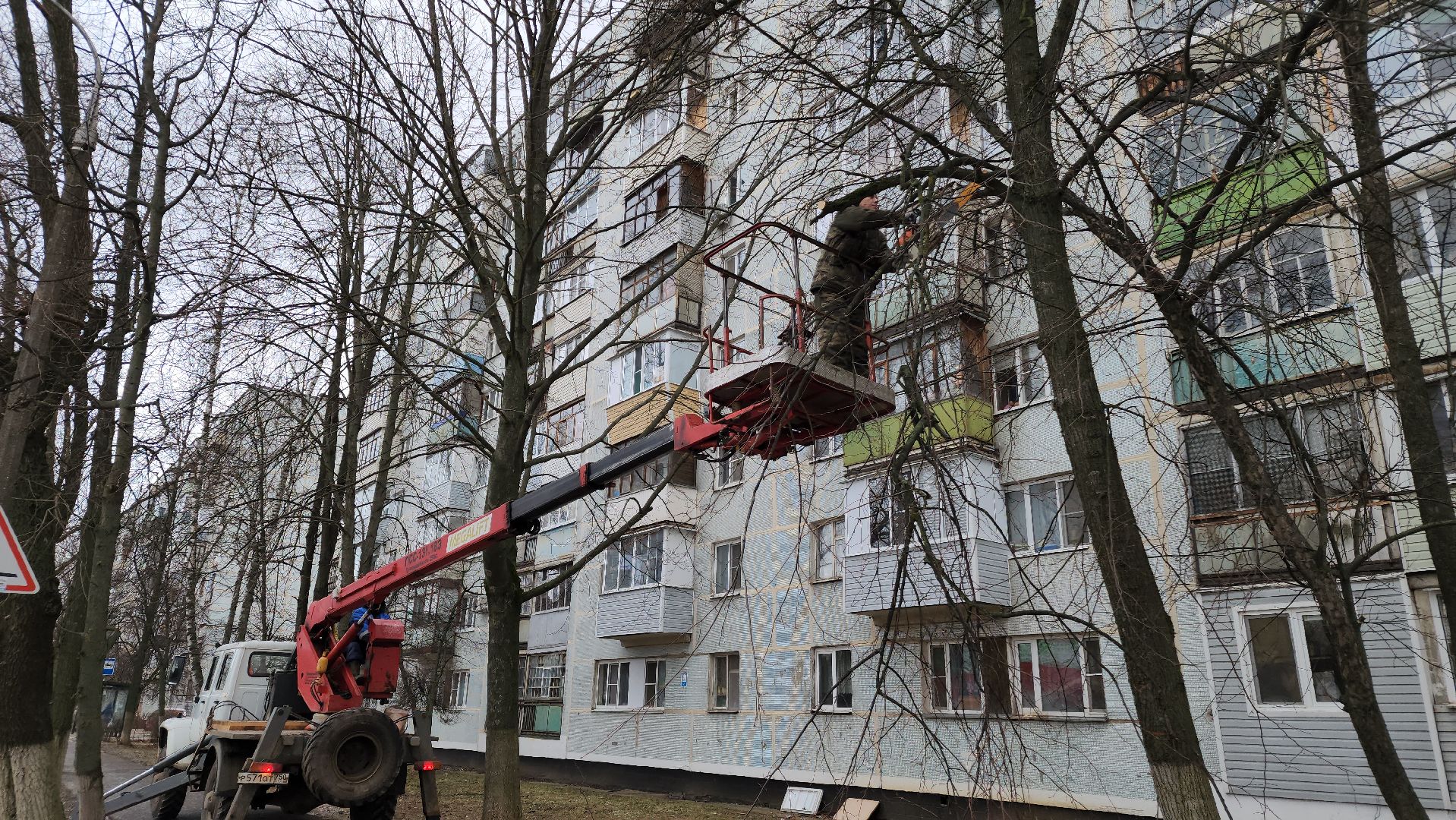 ступино, благоустройство 2025, санитарная обрезка деревьев,