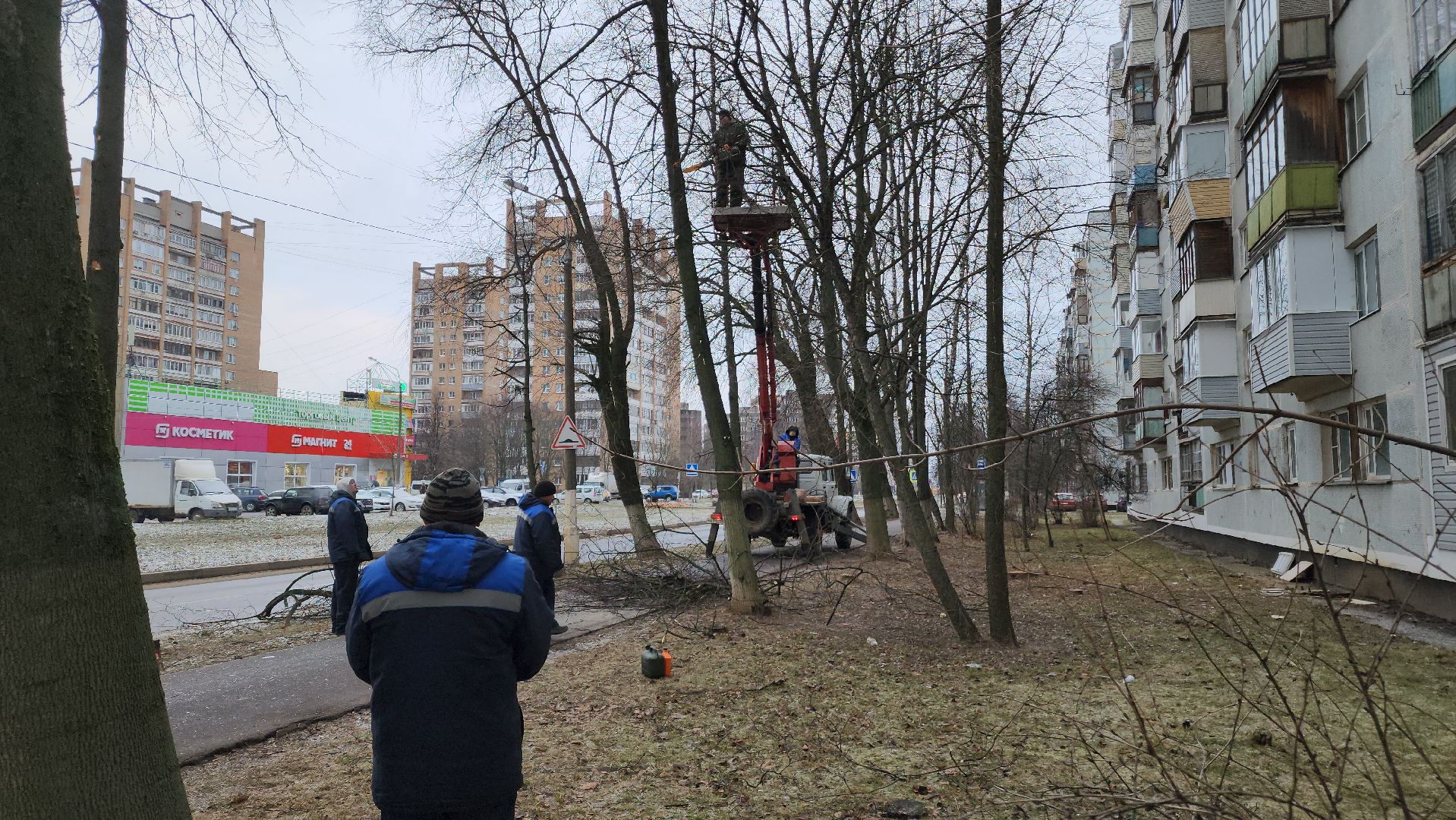 ступино, благоустройство 2025, санитарная обрезка деревьев,