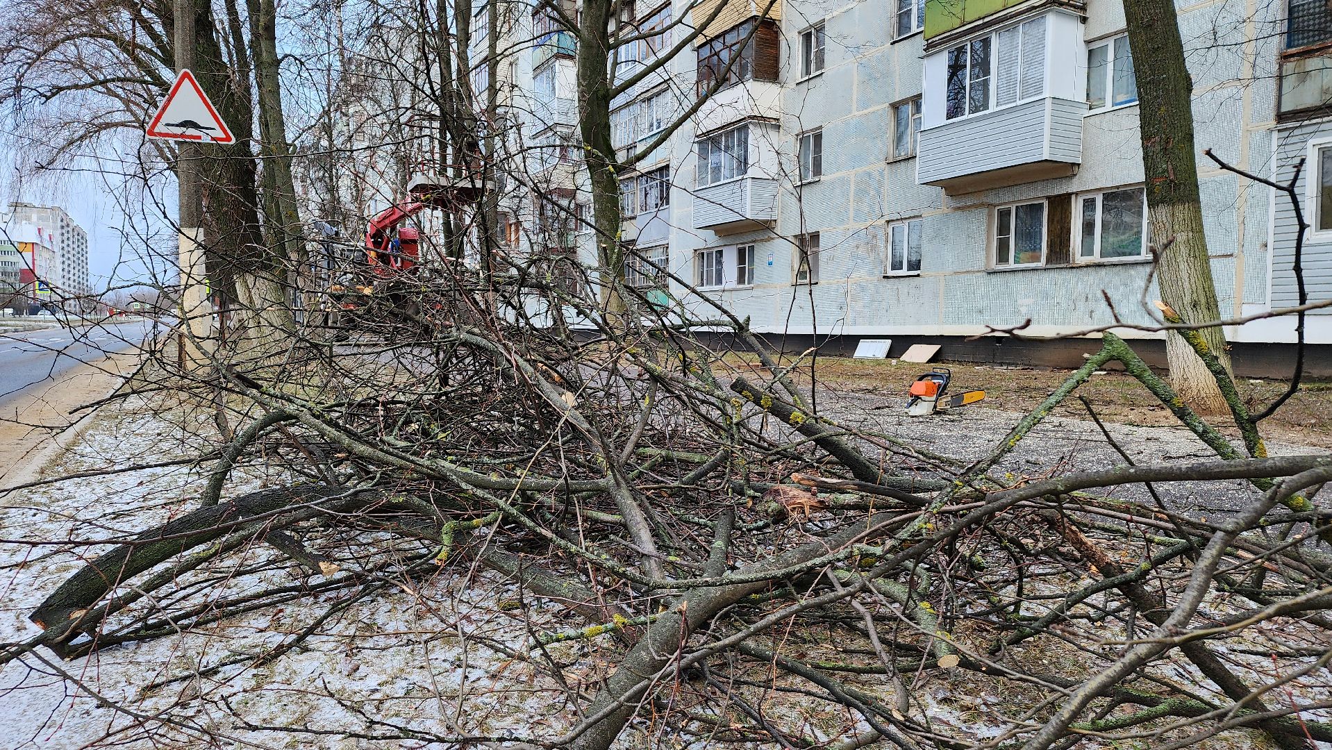 ступино, благоустройство 2025, санитарная обрезка деревьев,