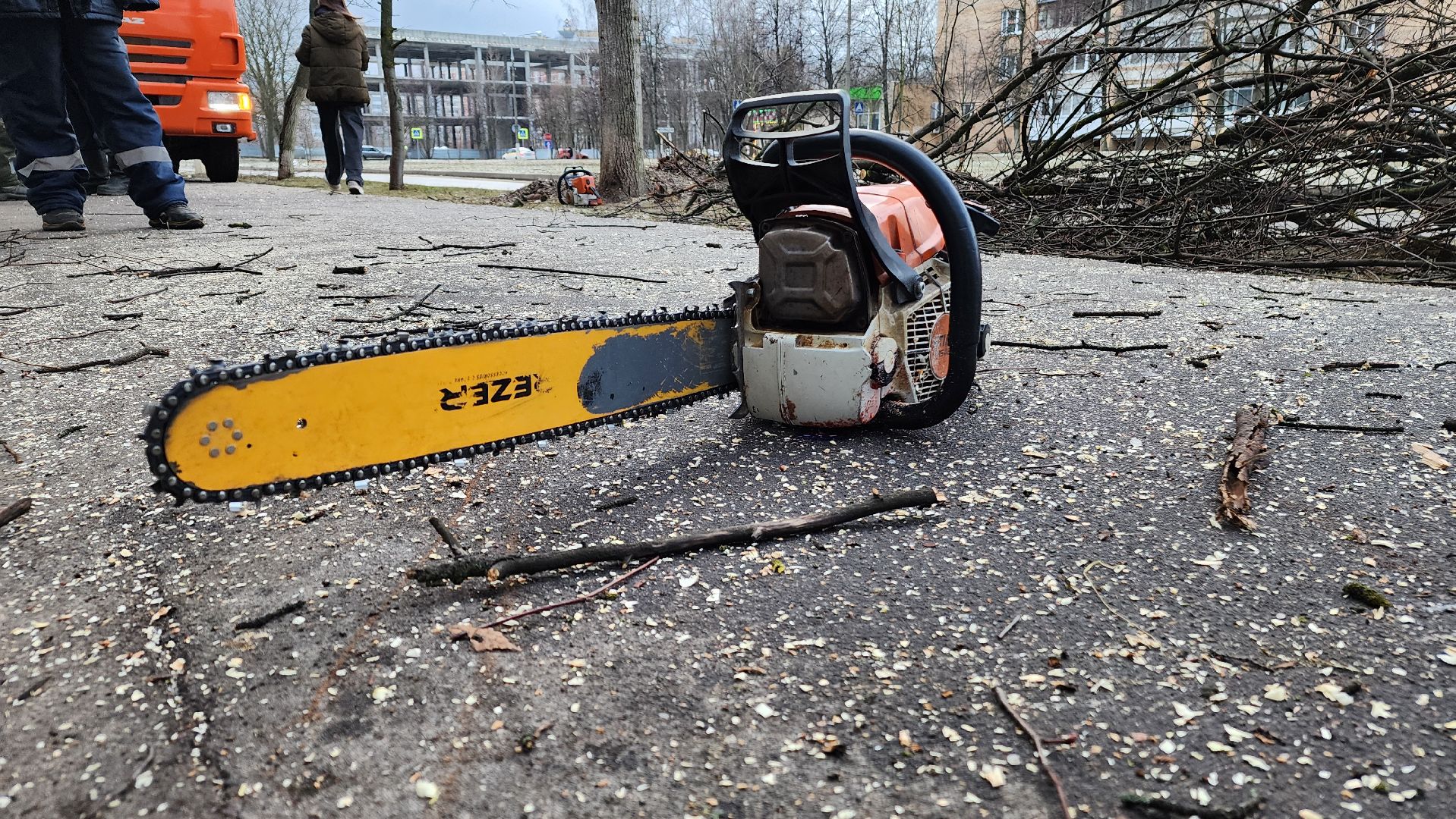 ступино, благоустройство 2025, санитарная обрезка деревьев,