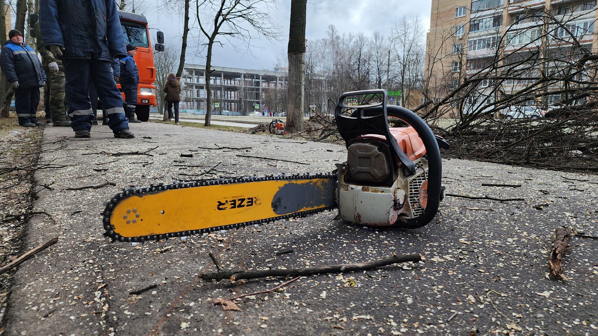 ступино, благоустройство 2025, санитарная обрезка деревьев,