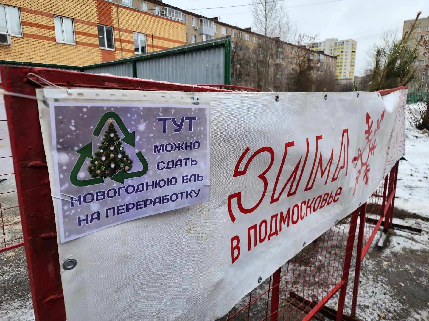 фрязино, елки, переработка, экология, утилизация елей, вертикалки,