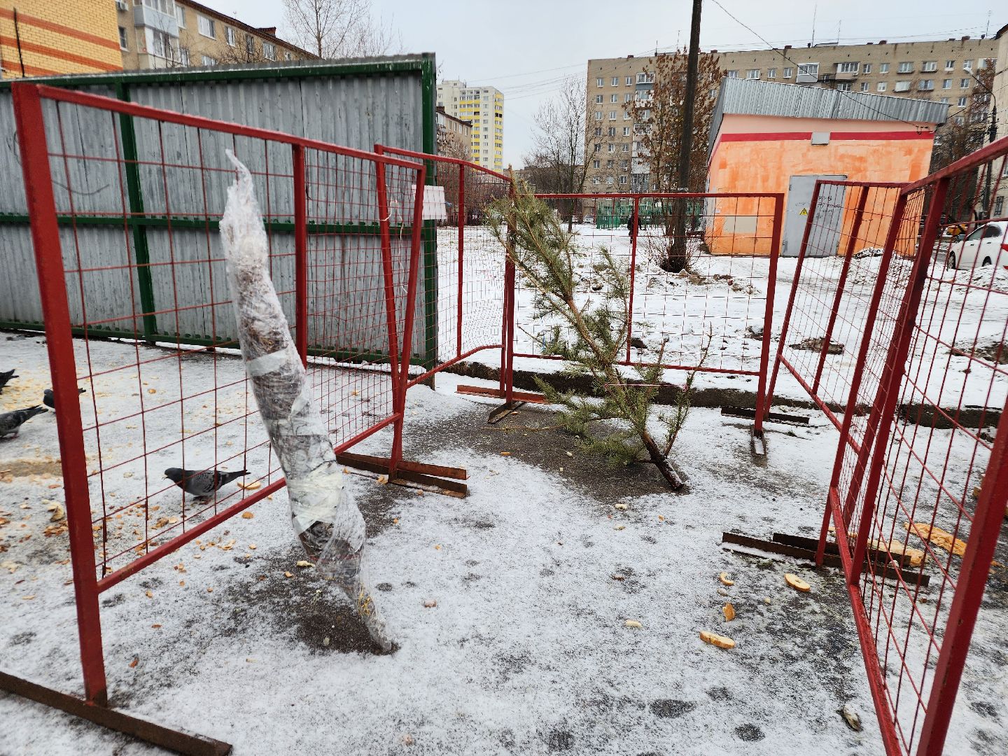 фрязино, елки, переработка, экология, утилизация елей, вертикалки,