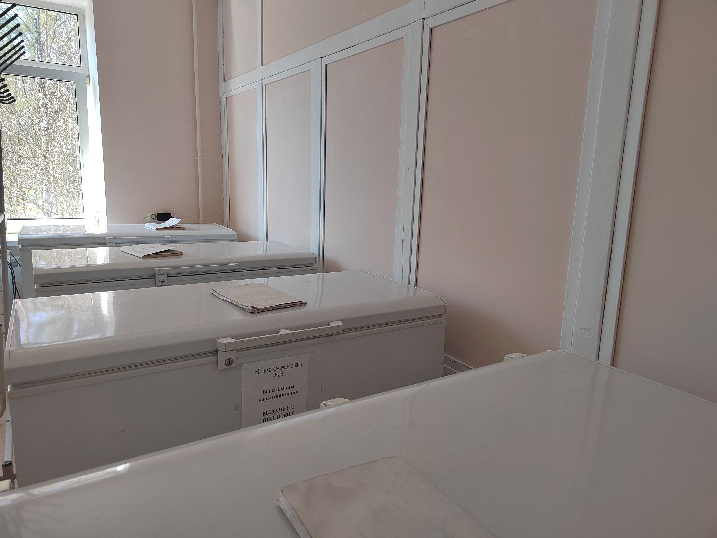 Пушкино, Пушкинский округ, медицина, Глава округа, Максим Красноцветов