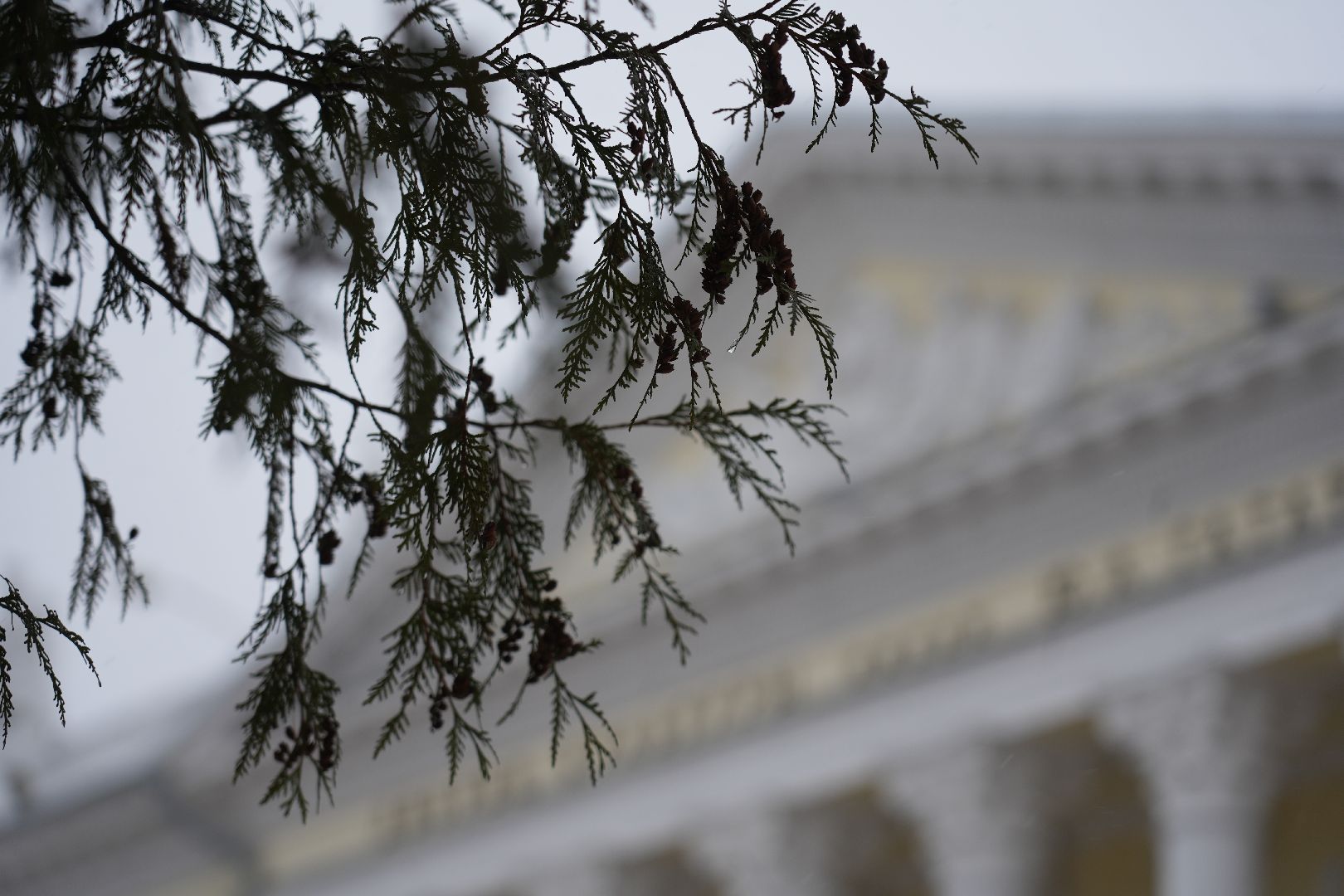 погода, крещение, сергиев посад, потепление, сергиево-посадский округ природа,