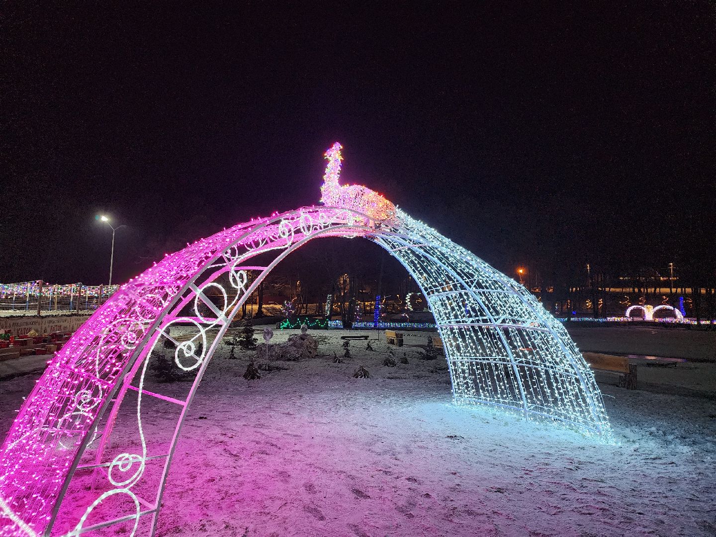 серпухов, подмосковье, сераксеево, фотосессия, семья, вертикалки,