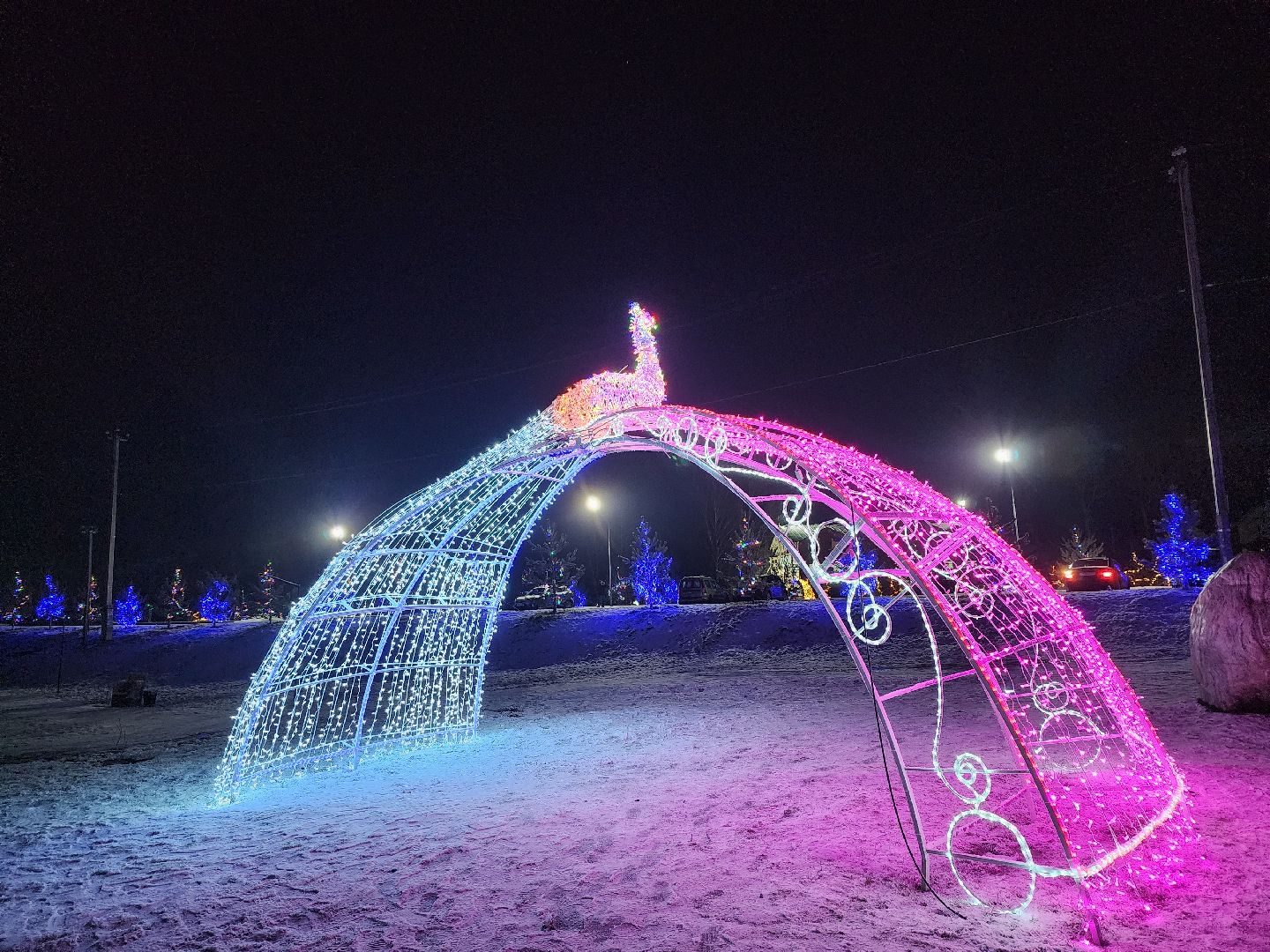 серпухов, подмосковье, сераксеево, фотосессия, семья, вертикалки,