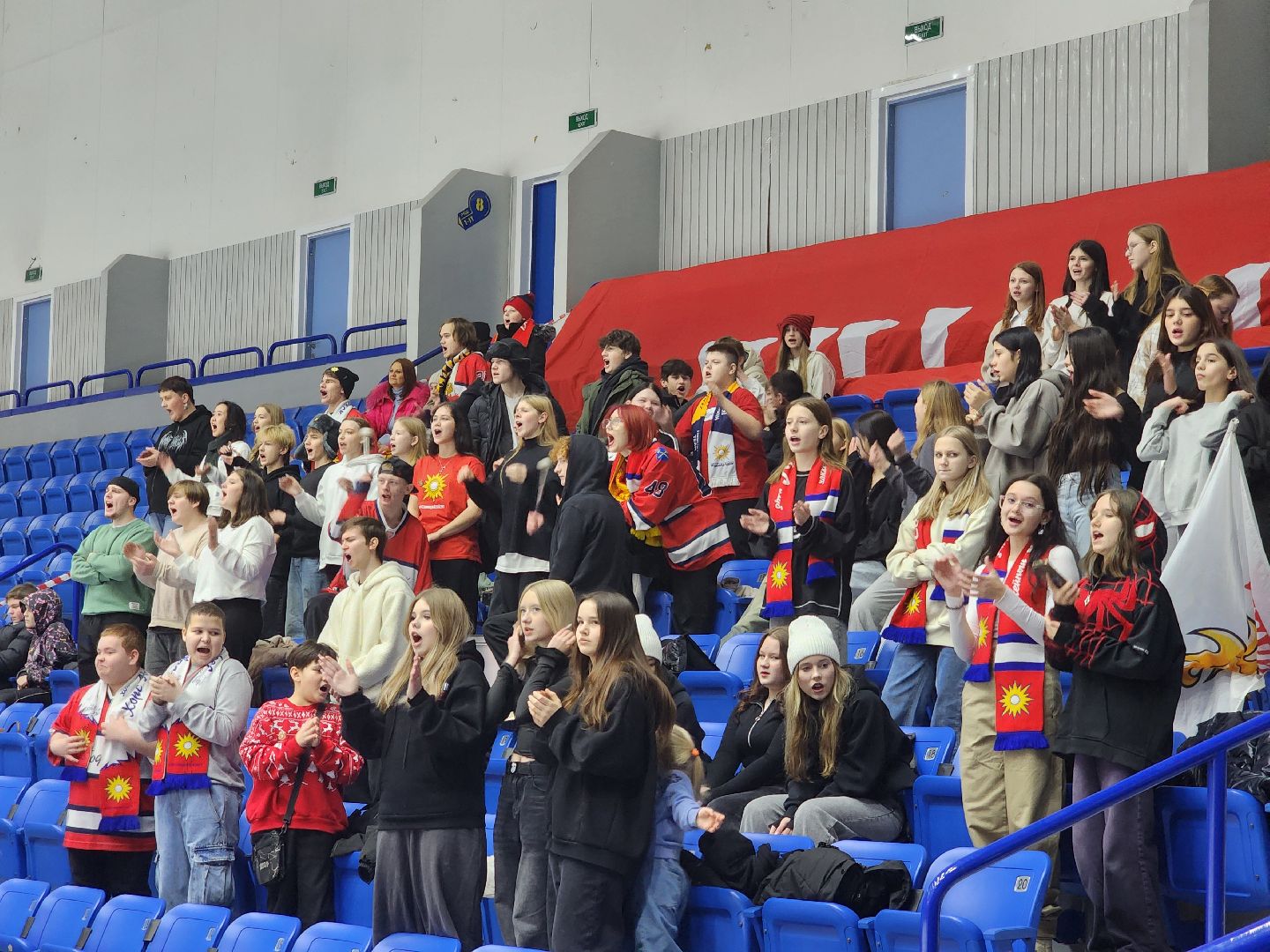 подольск, спорт, хоккей, нмхл