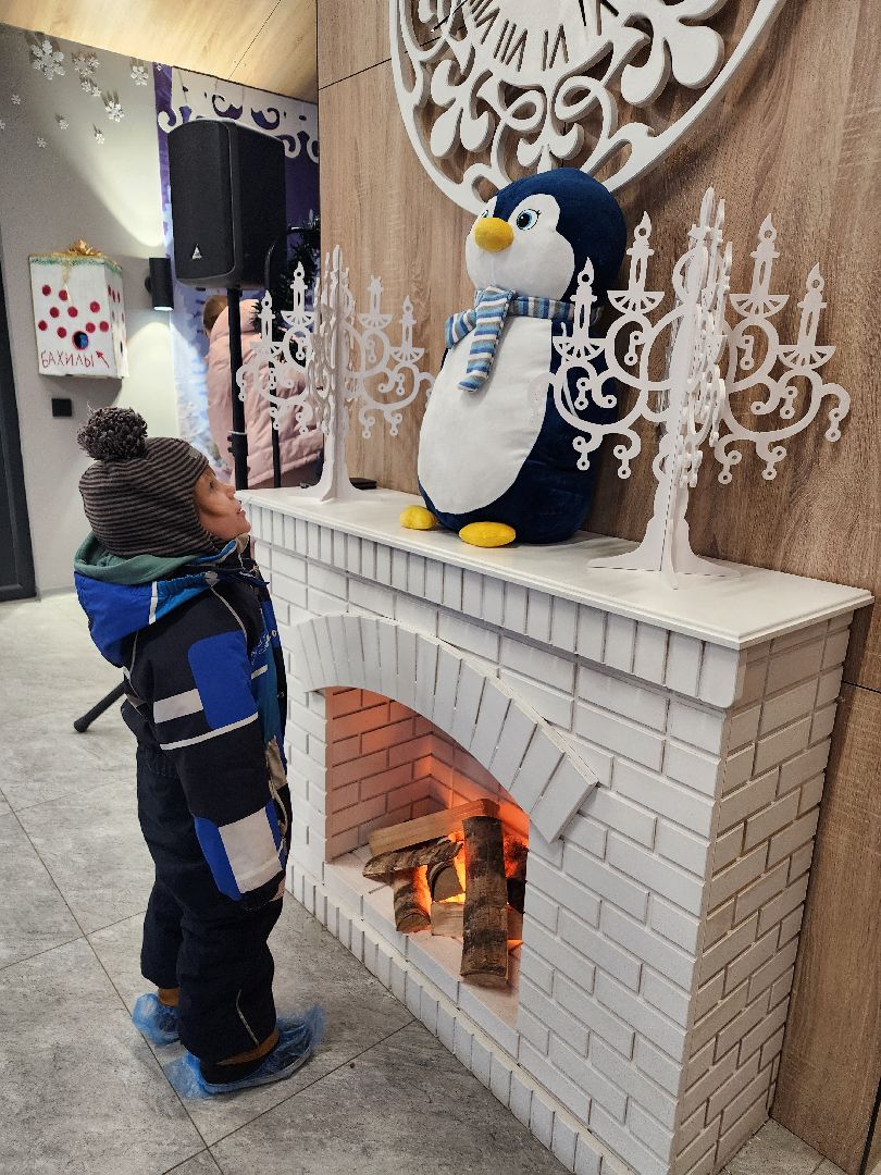 фрязино, резиденция деда мороза, парки подмосковья, новый год, лесопарк, вертикалки,