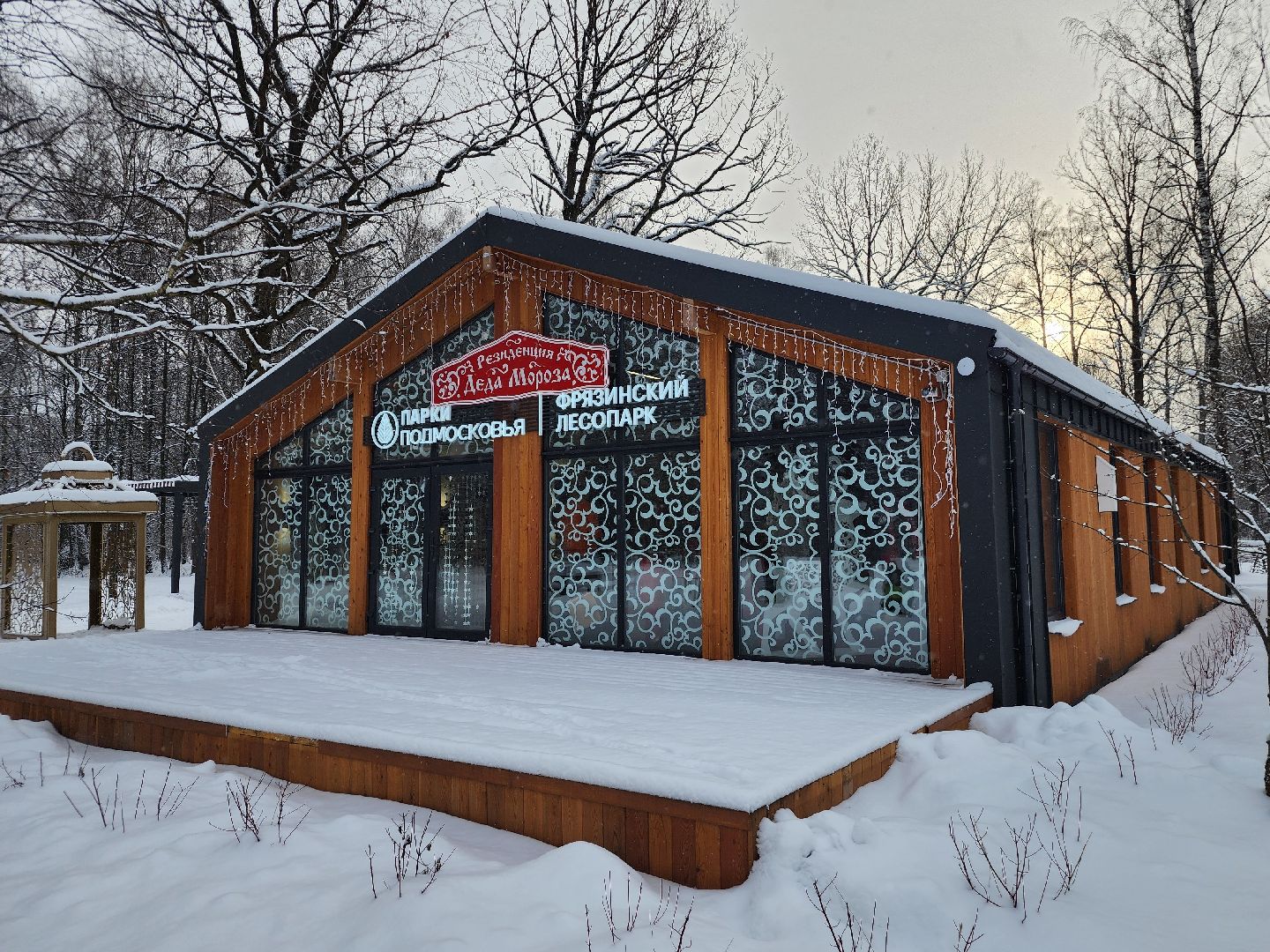 фрязино, резиденция деда мороза, парки подмосковья, новый год, лесопарк, вертикалки,