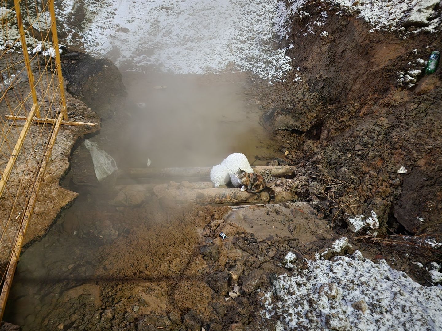 Подольск, Управдом, Силикатная, ЖКХ, Встреча с жителями, вертикалки,