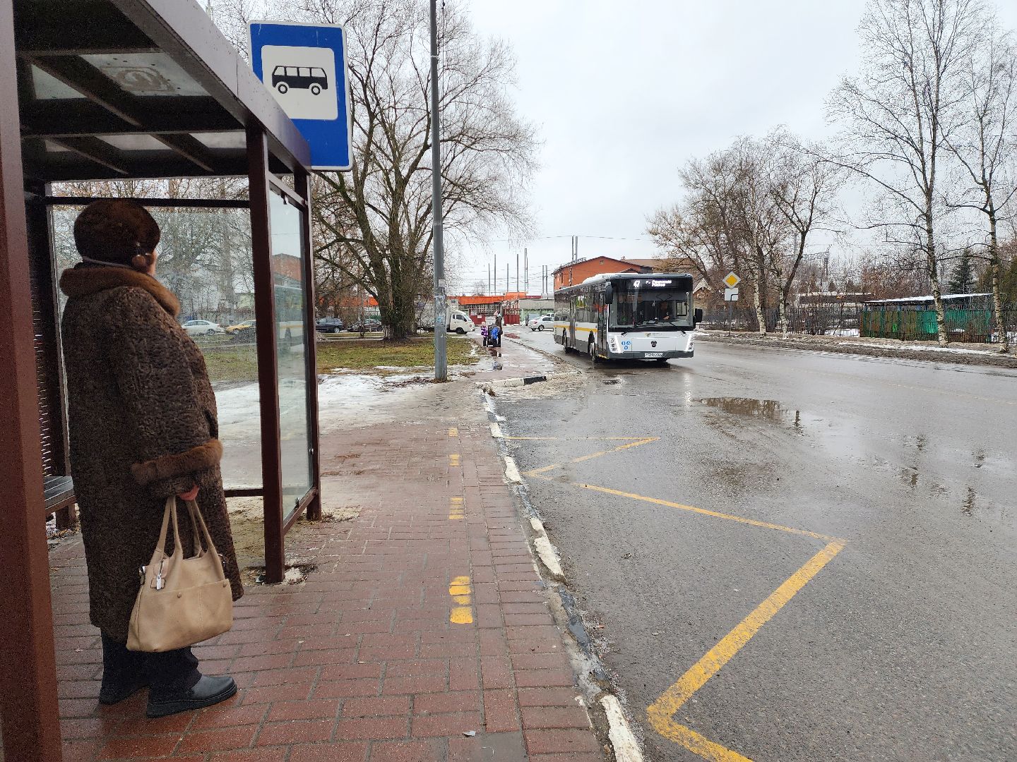 раменское, транспорт, новые автобусы, вертикалки,