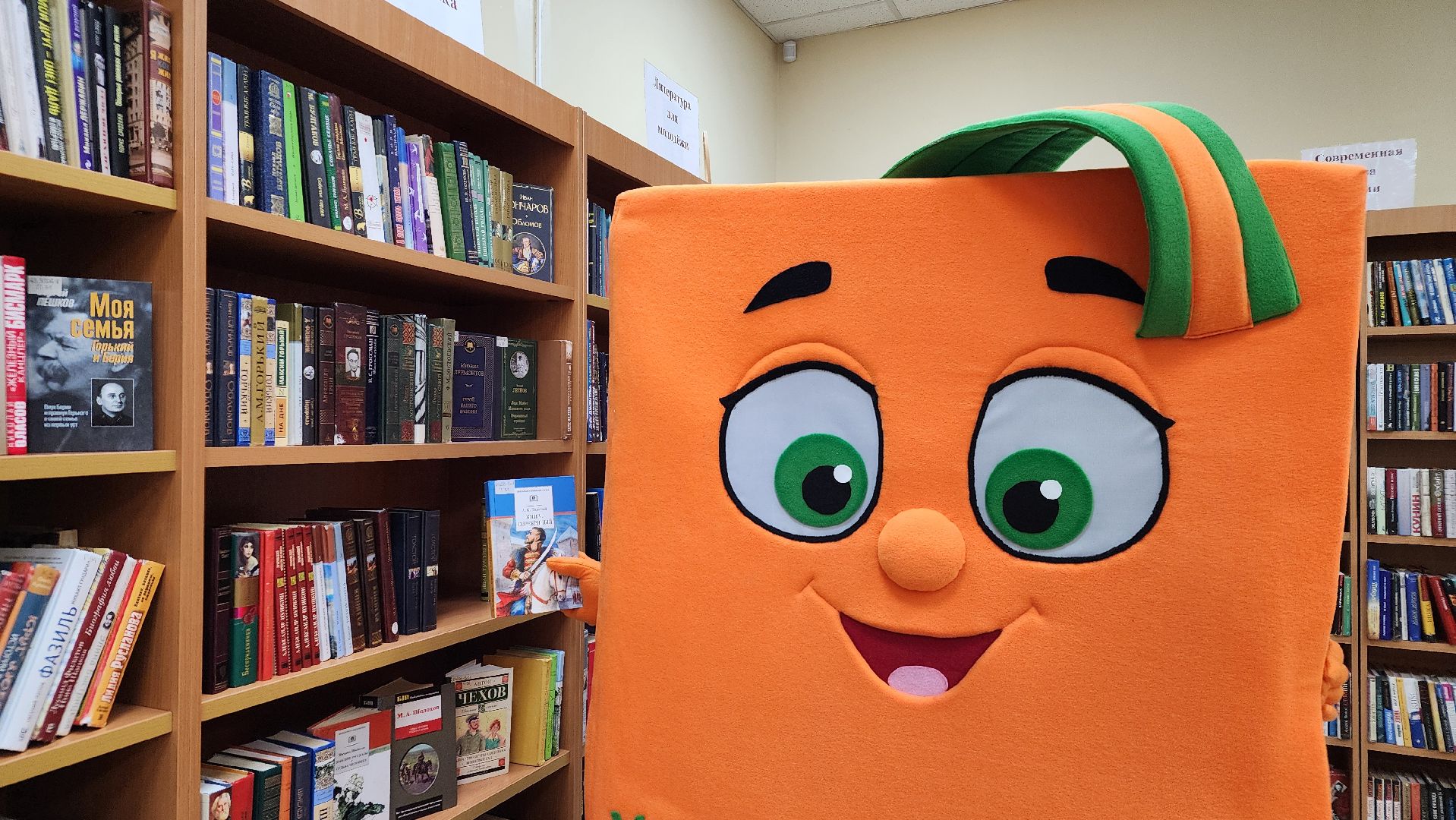 книжка, протвинская библиотека, ростовая кукла, г о серпухов, культура,