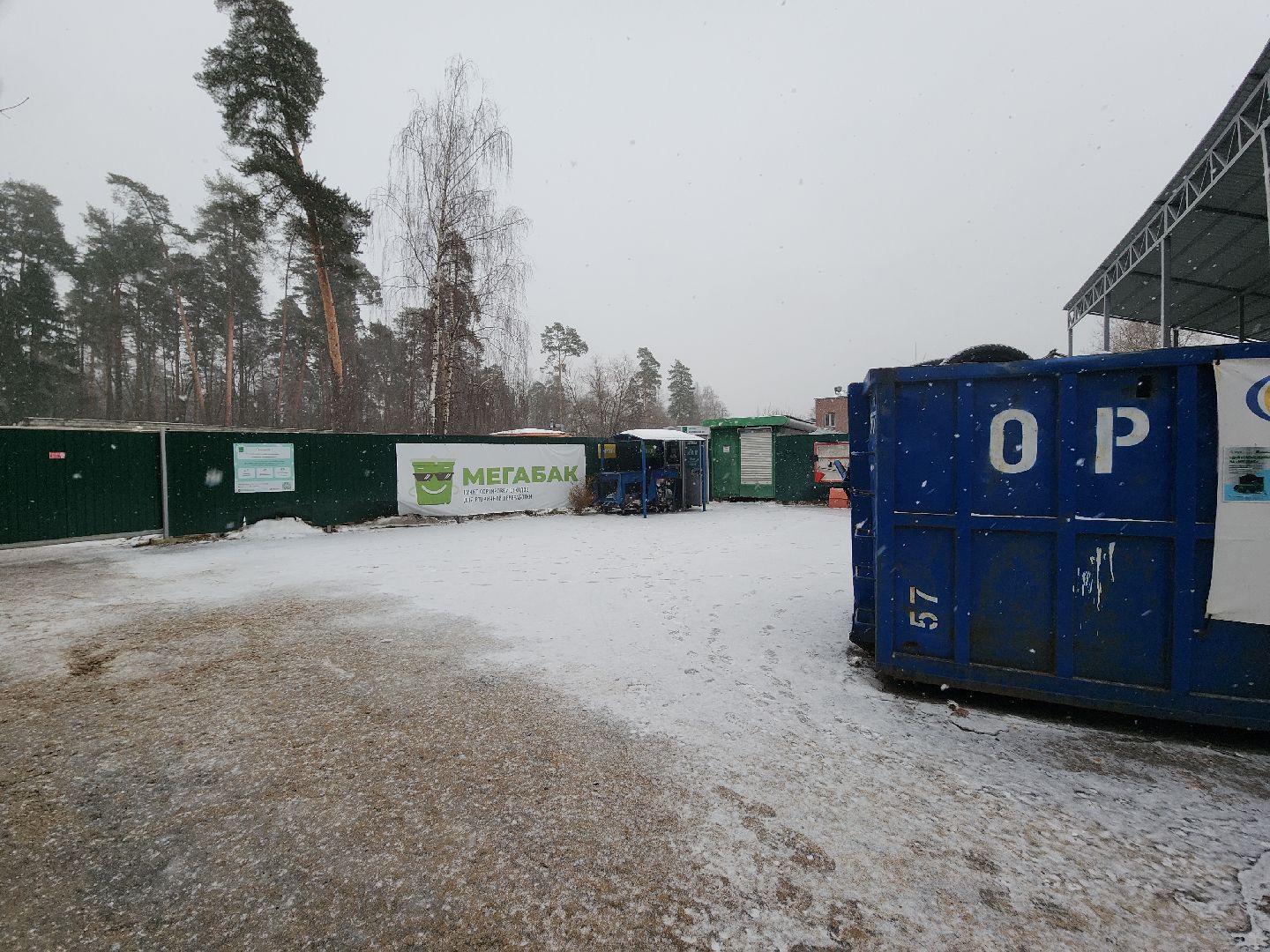 Черноголовка, экологическая акция, утилизация елей,