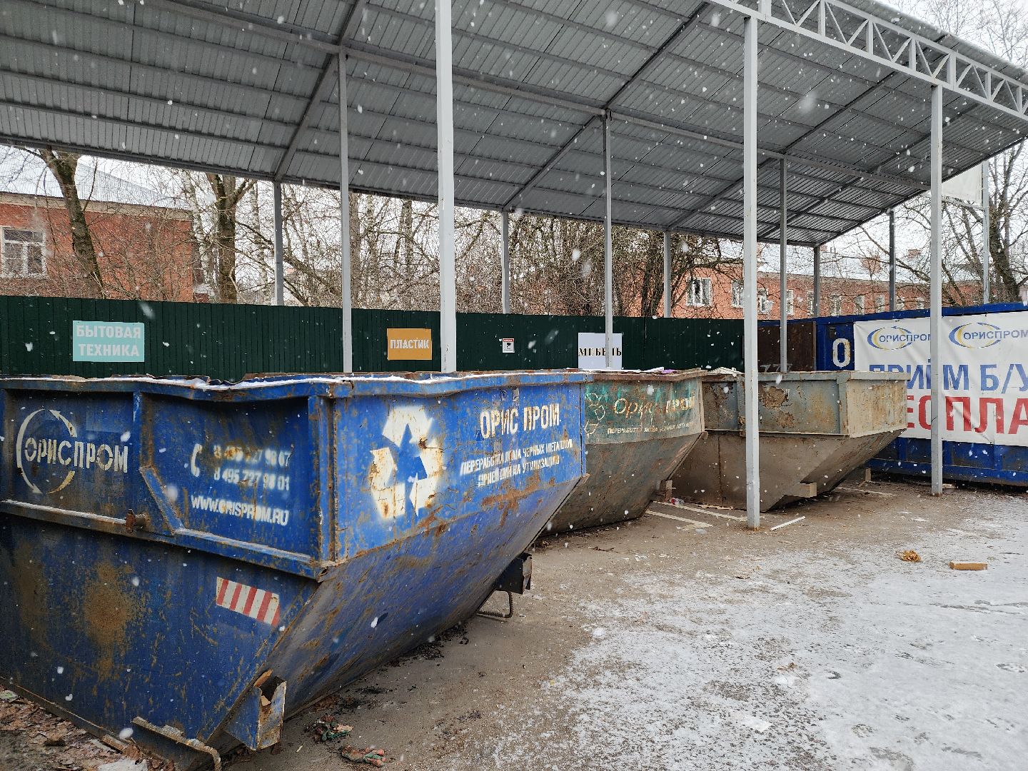 Черноголовка, экологическая акция, утилизация елей,