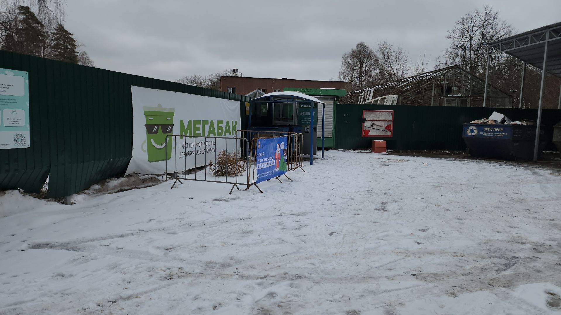 Черноголовка, экологическая акция, утилизация елей,