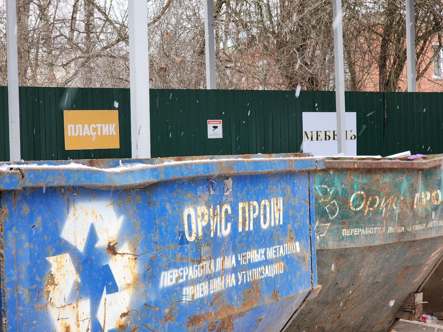 Черноголовка, экологическая акция, утилизация елей,