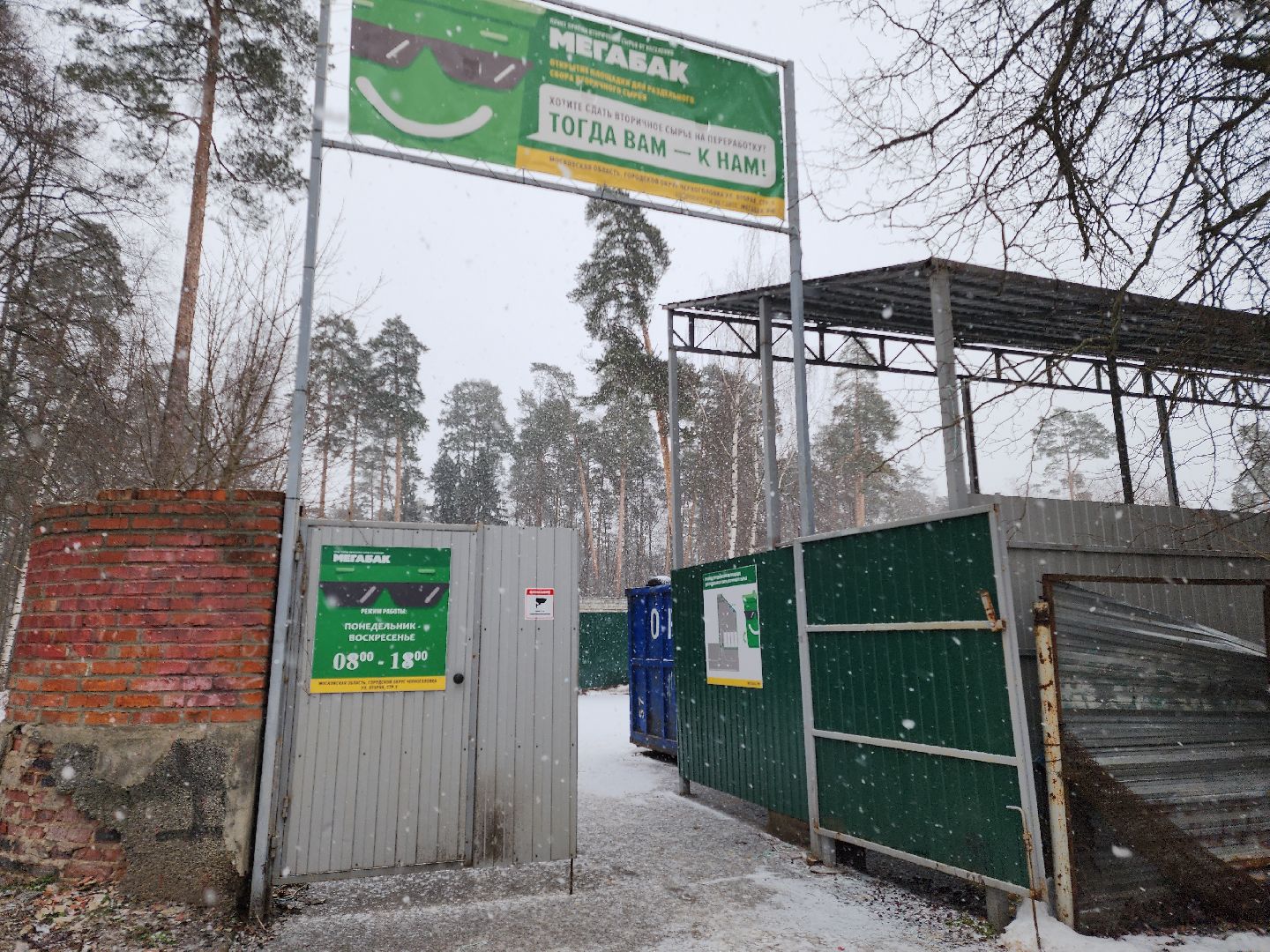 Черноголовка, экологическая акция, утилизация елей,