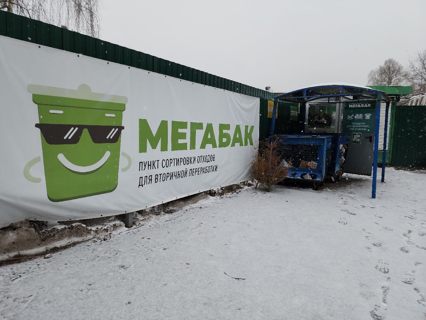 Черноголовка, экологическая акция, утилизация елей,