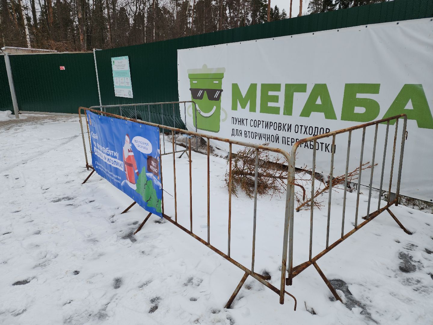 Черноголовка, экологическая акция, утилизация елей,