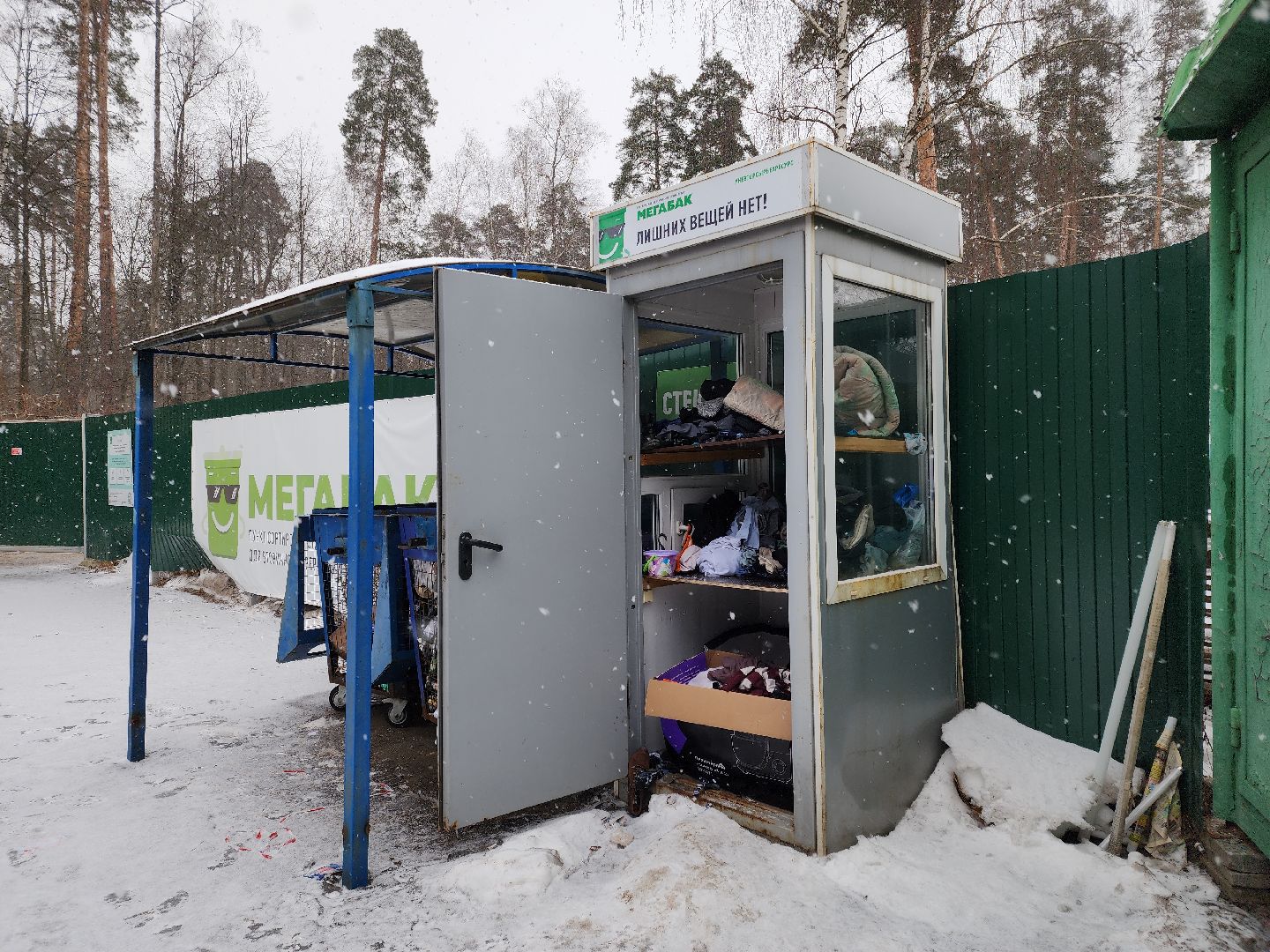 Черноголовка, экологическая акция, утилизация елей,