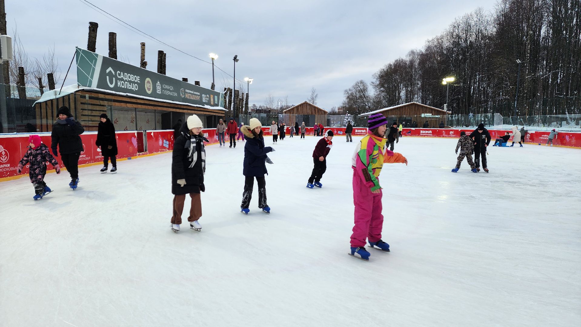 солнечногорск, вертикалки, зима в парке, зима в подмосковье, снегопад, погода,