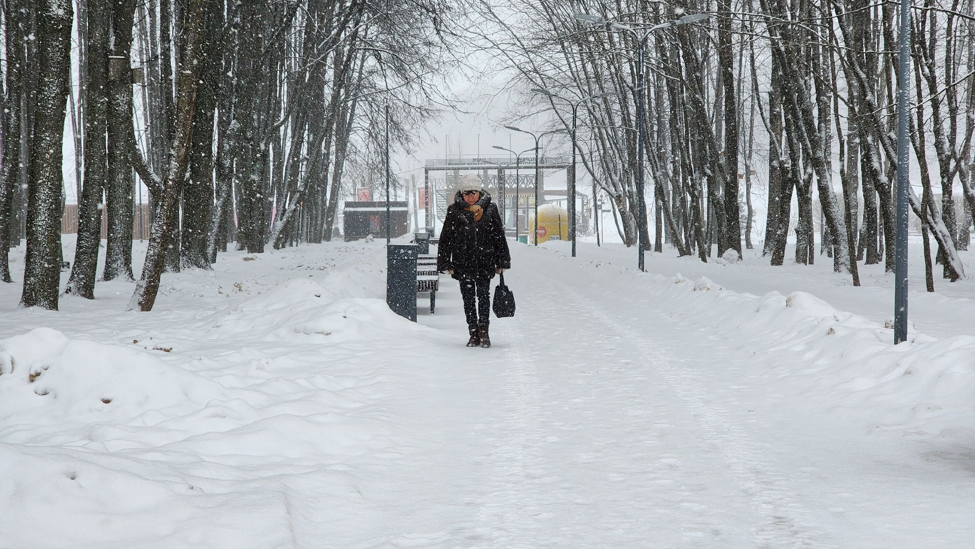 солнечногорск, вертикалки, зима в парке, зима в подмосковье, снегопад, погода,