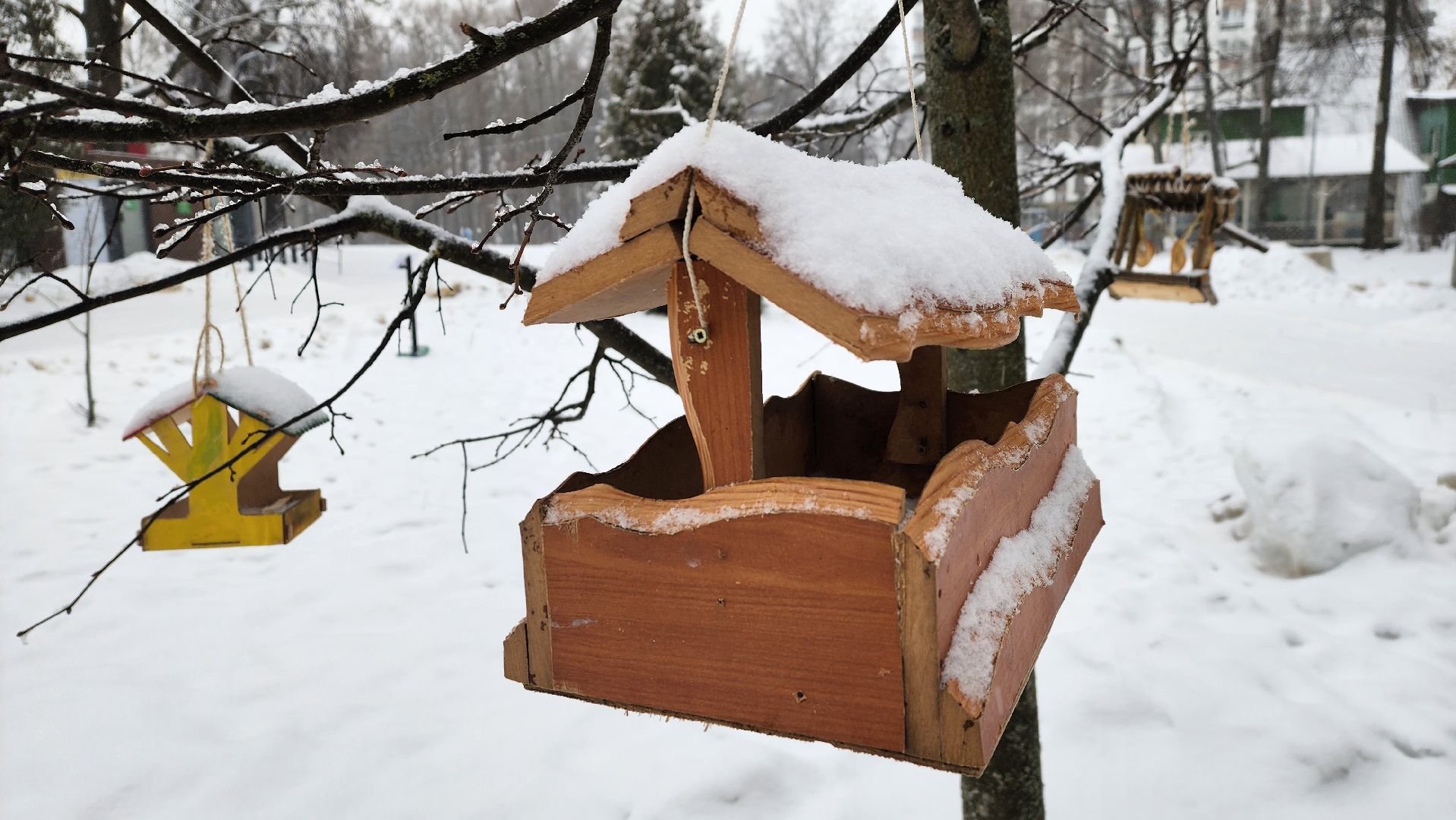солнечногорск, вертикалки, зима в парке, зима в подмосковье, снегопад, погода,