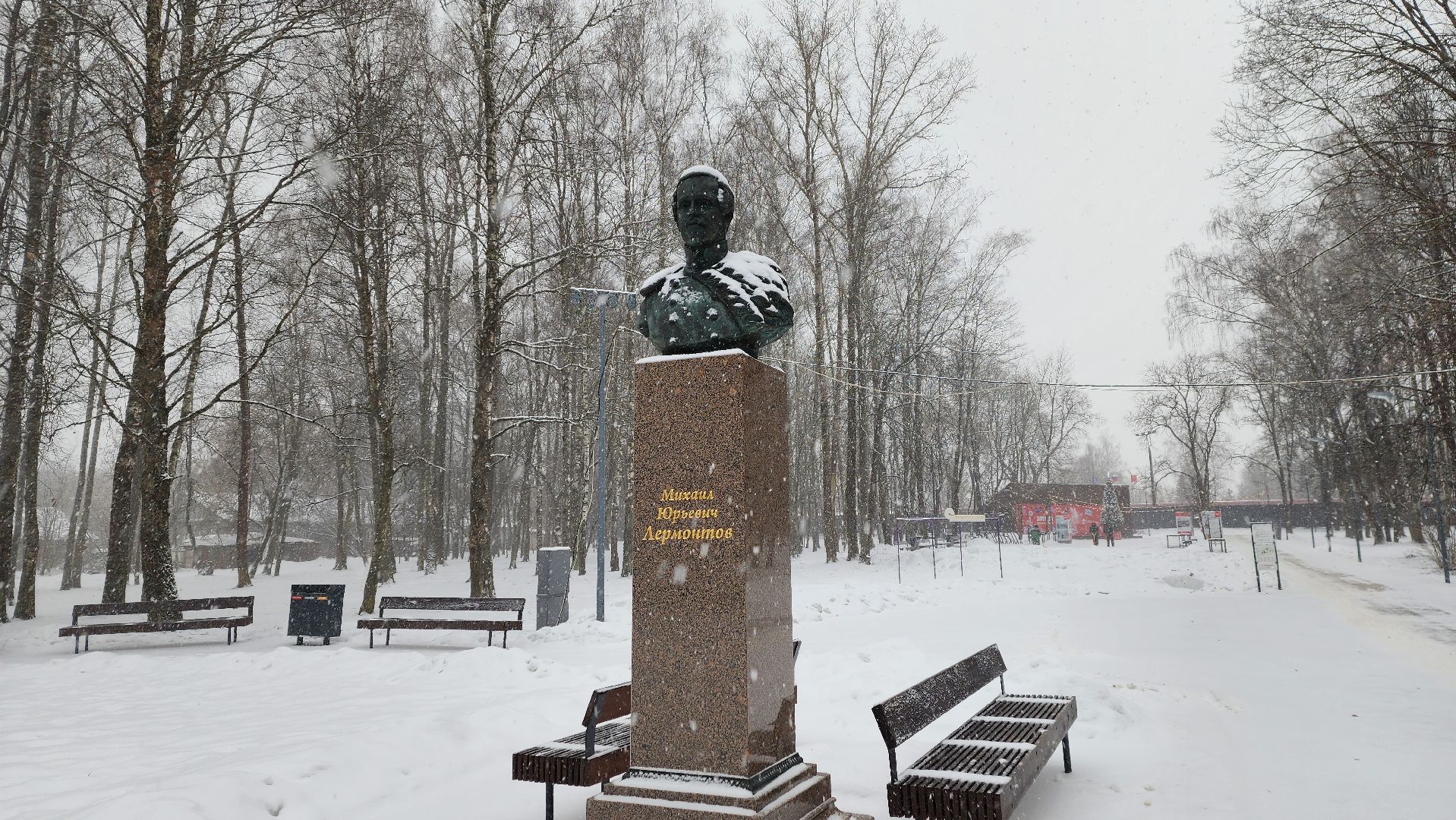 солнечногорск, вертикалки, зима в парке, зима в подмосковье, снегопад, погода,