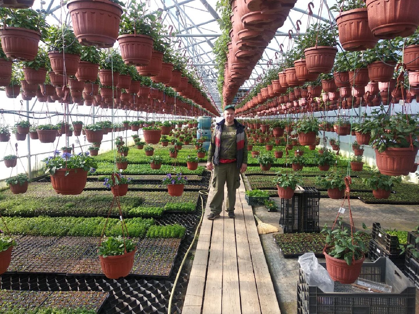 Дмитров, Питомник Фирсовых, Минсельхоз МО