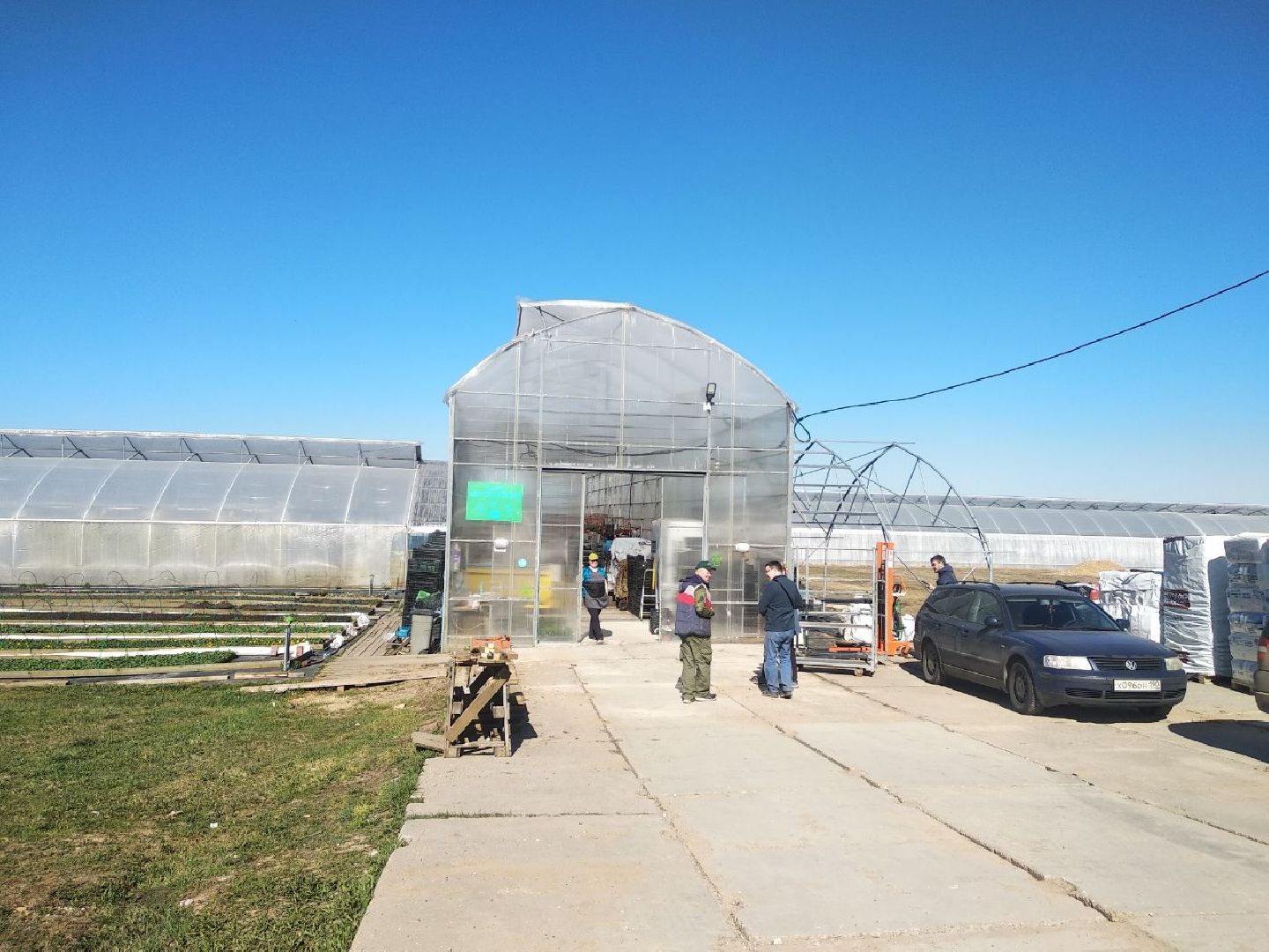 Дмитров, Питомник Фирсовых, Минсельхоз МО