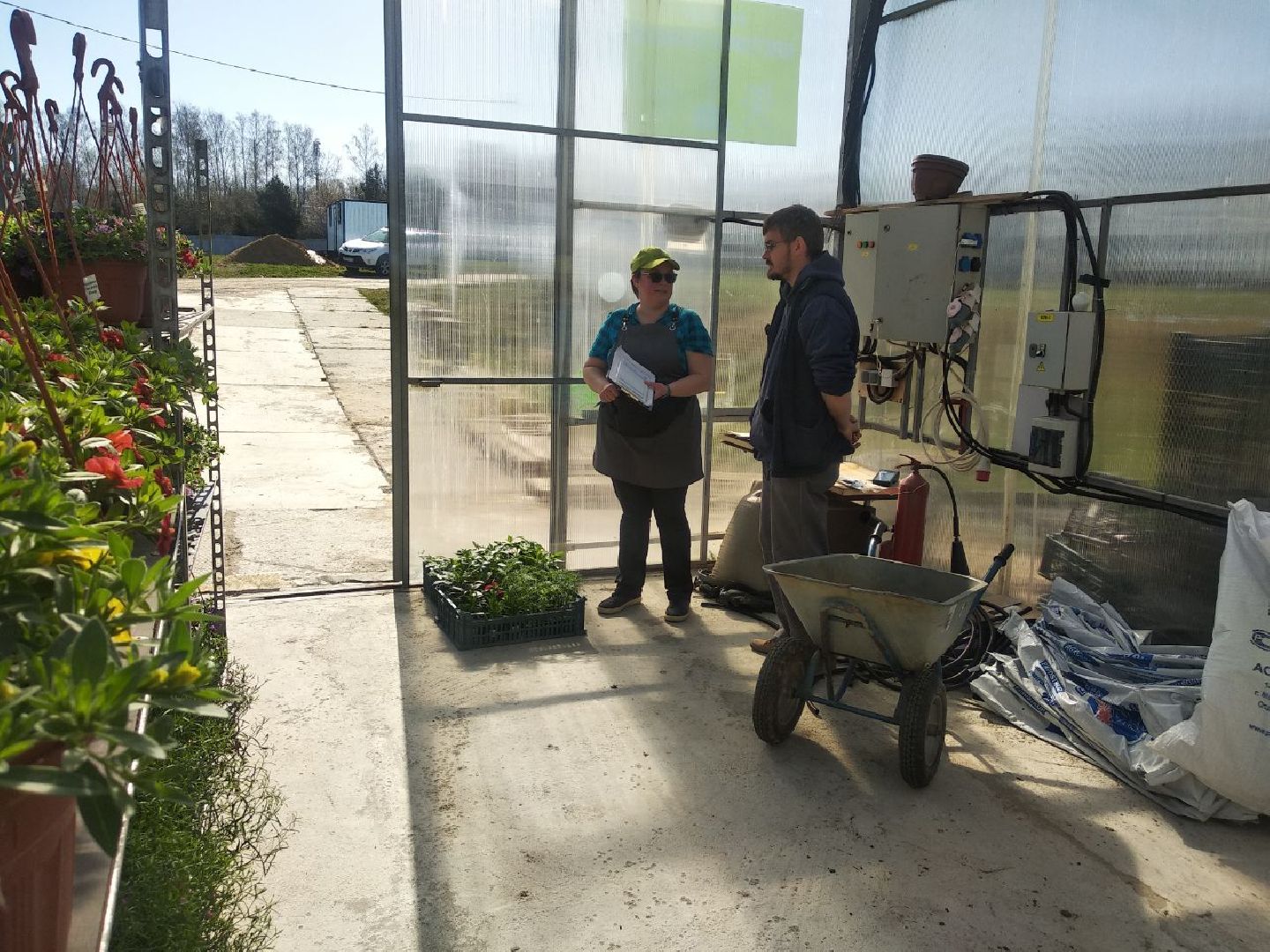 Дмитров, Питомник Фирсовых, Минсельхоз МО