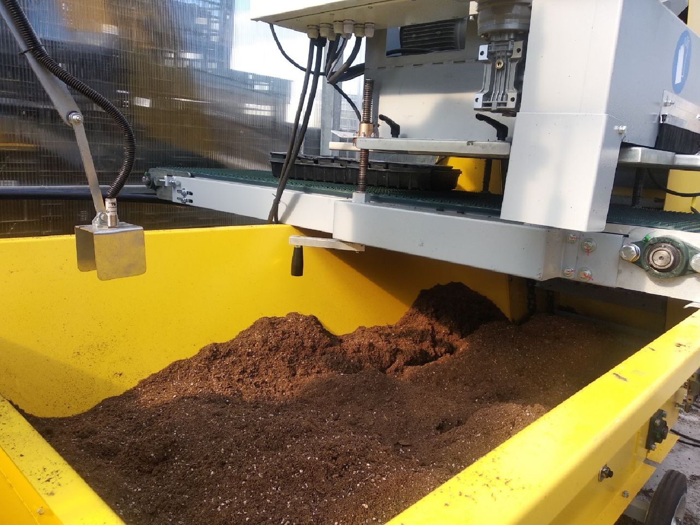 Дмитров, Питомник Фирсовых, Минсельхоз МО