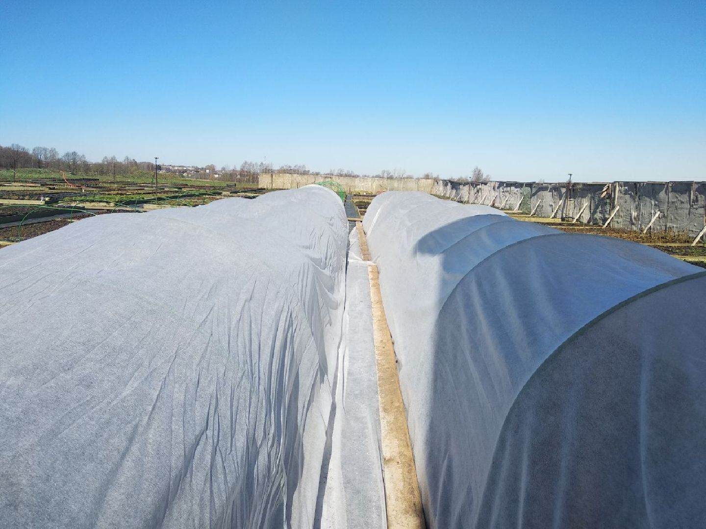 Дмитров, Питомник Фирсовых, Минсельхоз МО