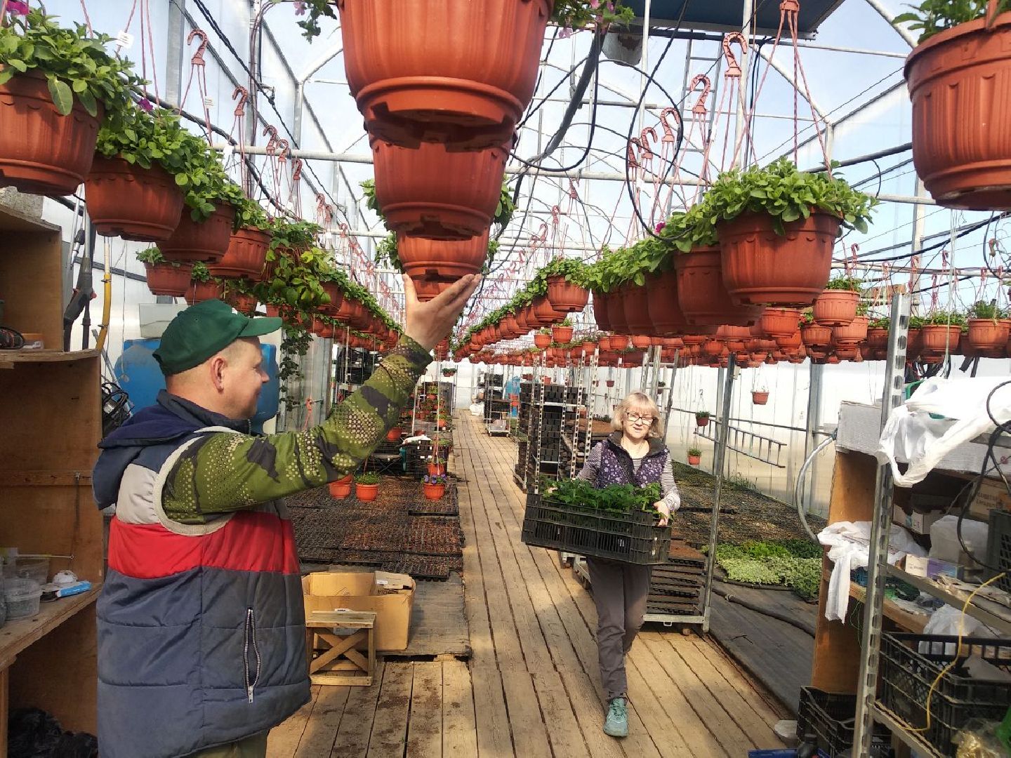 Дмитров, Питомник Фирсовых, Минсельхоз МО