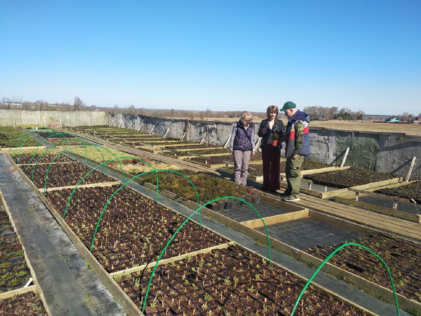 Дмитров, Питомник Фирсовых, Минсельхоз МО