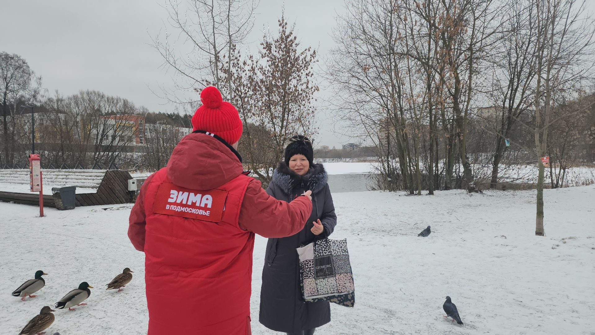 птицы, утки, голуби, зима, зима в парках, зима в подмосковье, покорми птиц, корм для птиц, покорми птиц зимой,