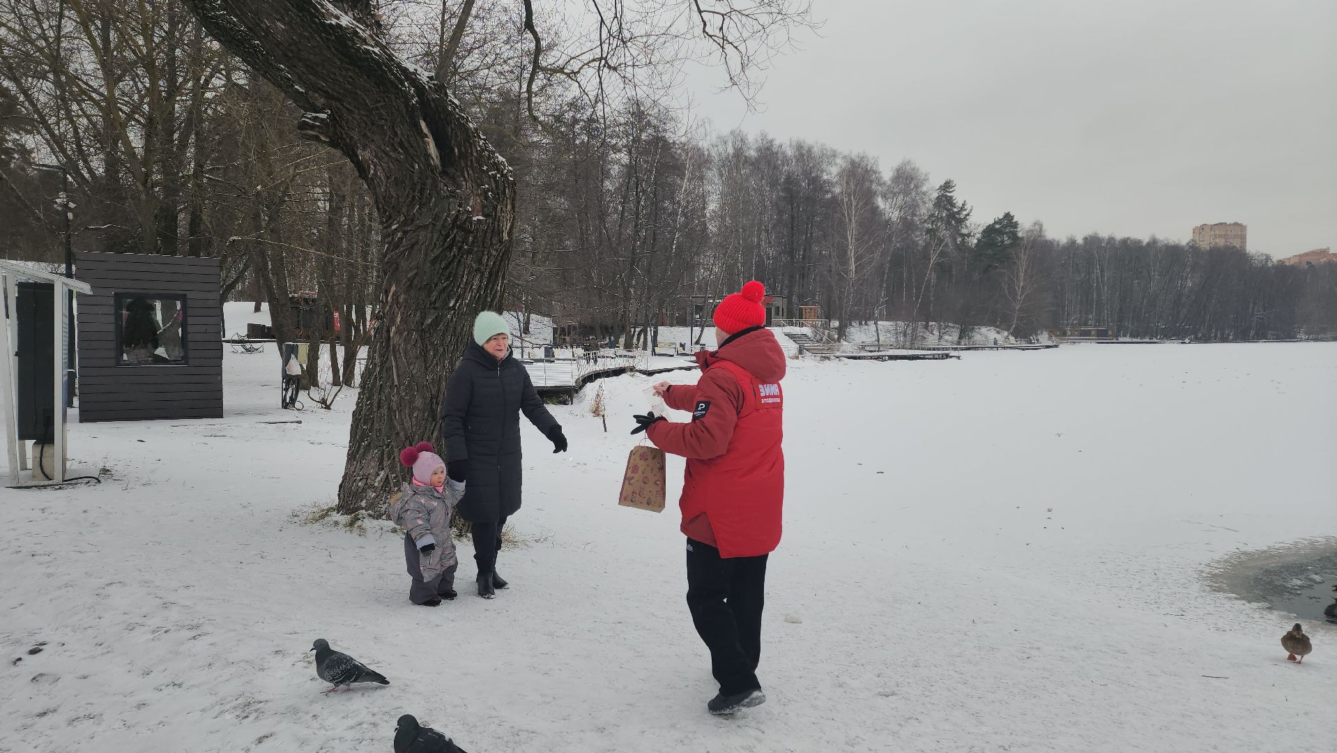 птицы, утки, голуби, зима, зима в парках, зима в подмосковье, покорми птиц, корм для птиц, покорми птиц зимой,